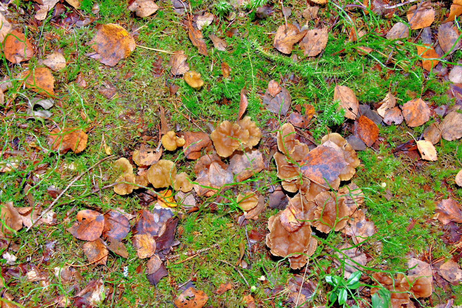 Valokuvaaja: Reijo Juurinen