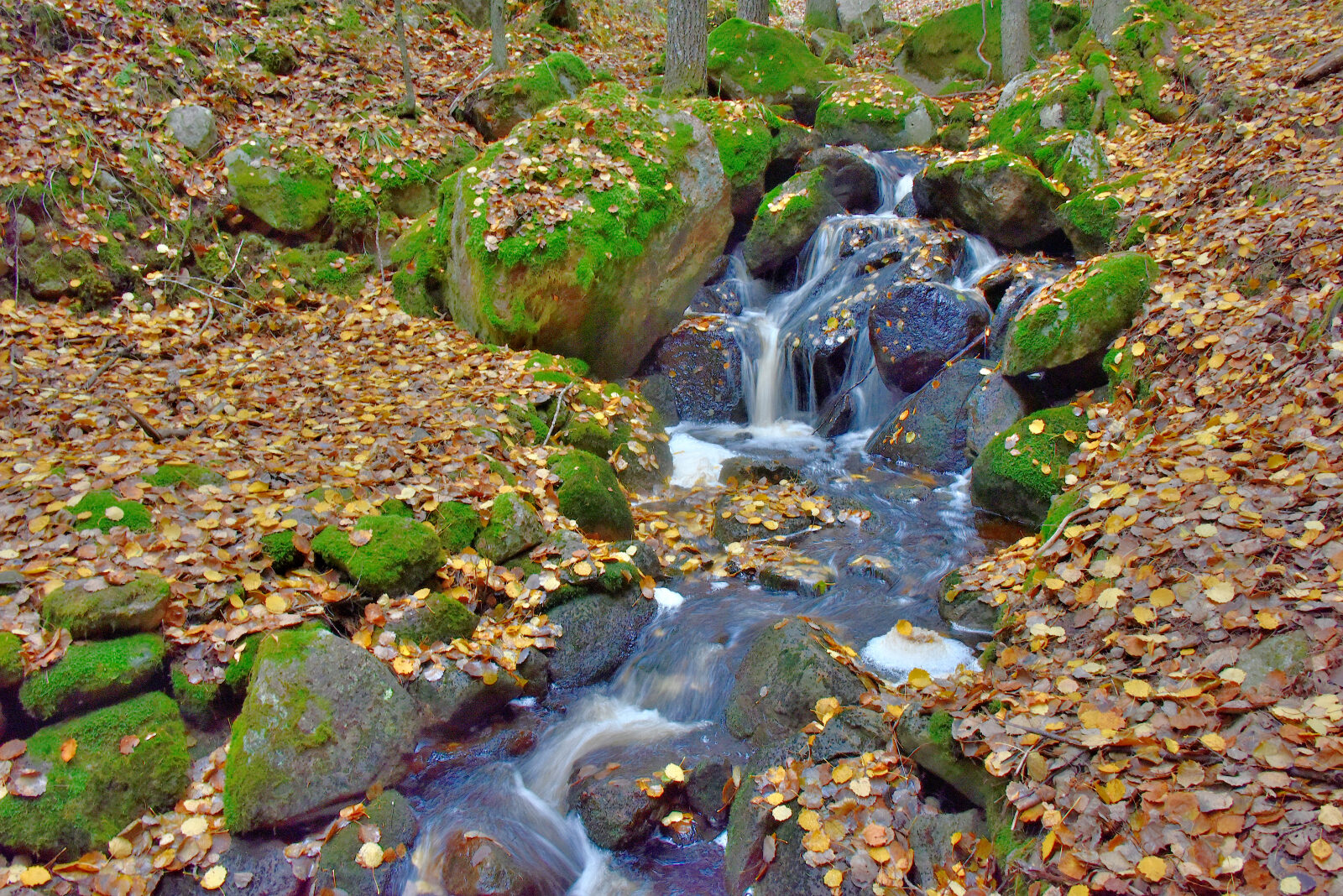 Valokuvaaja: Reijo Juurinen