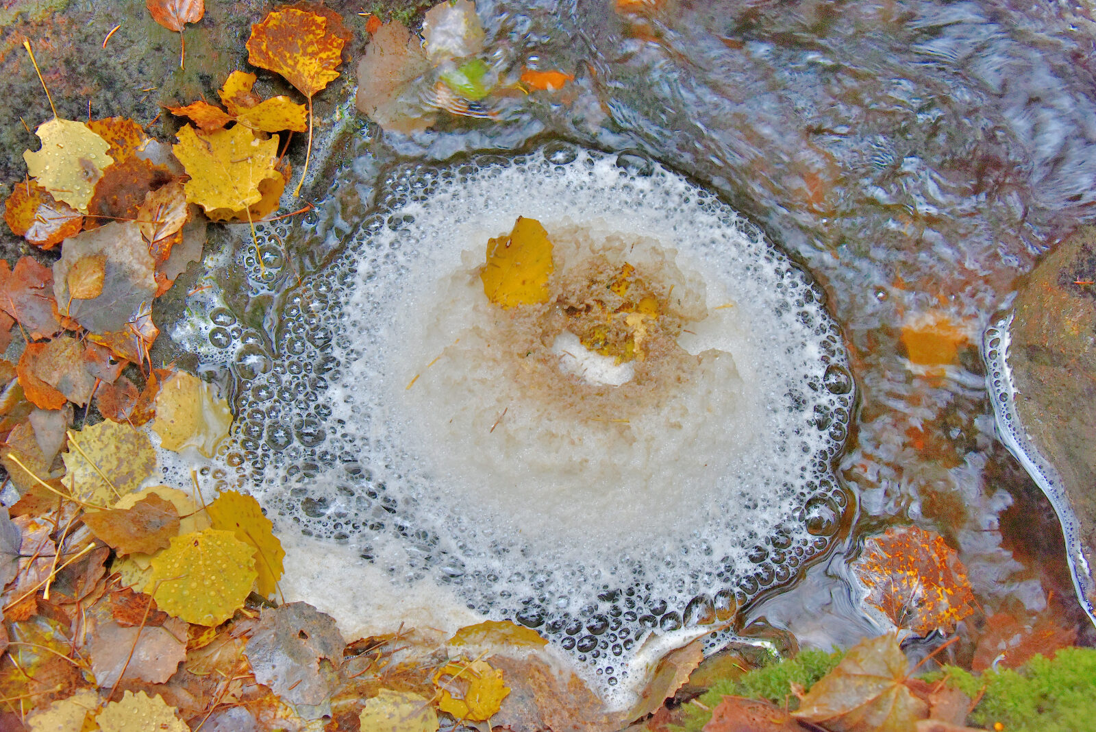 Valokuvaaja: Reijo Juurinen