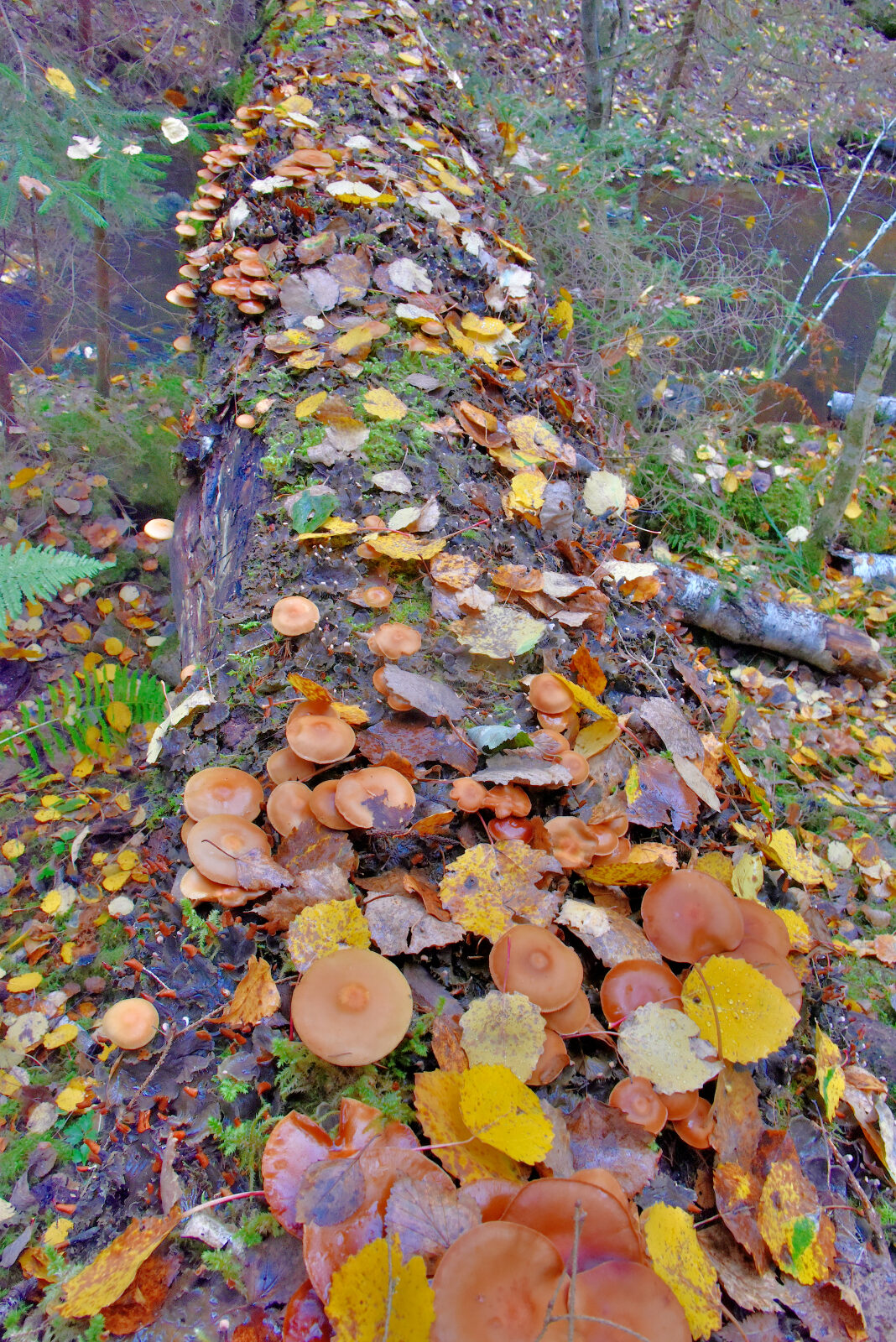 Valokuvaaja: Reijo Juurinen