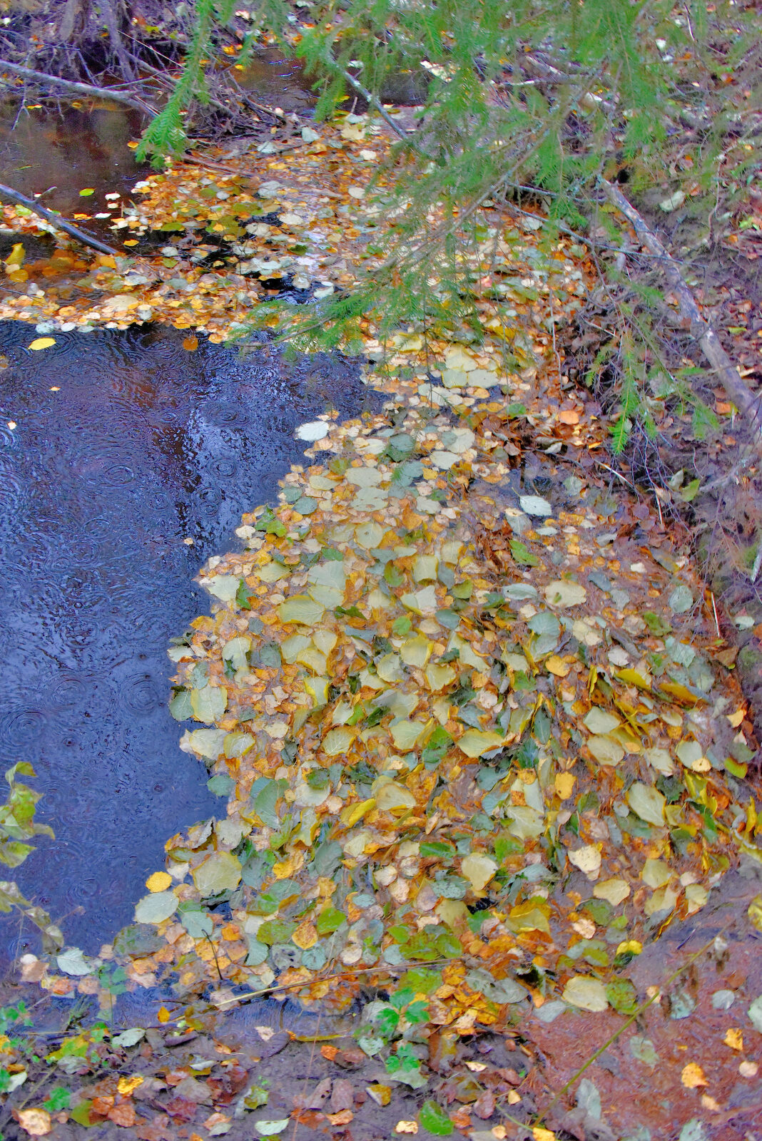 Valokuvaaja: Reijo Juurinen Valokuvaaja: Reijo Juurinen