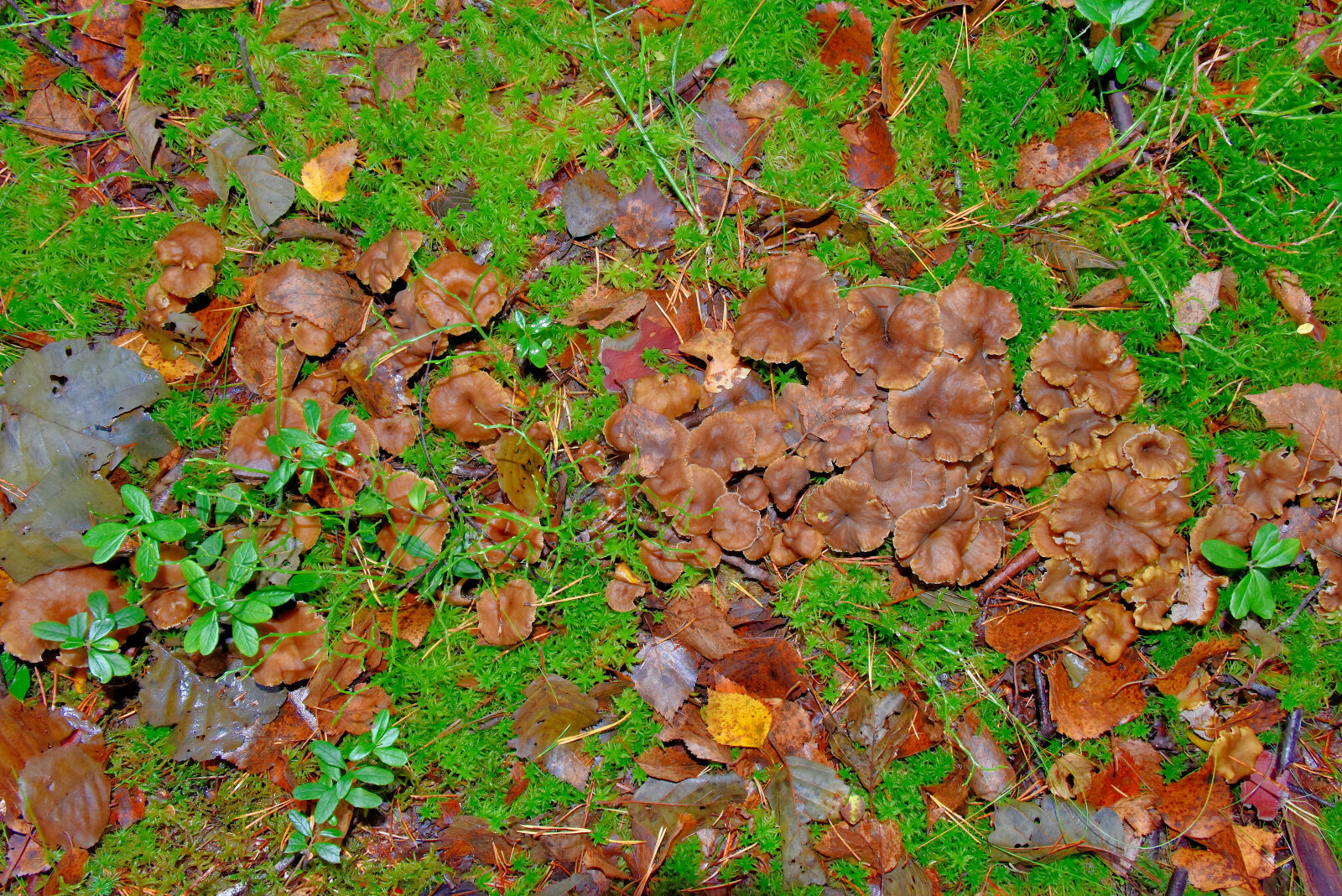 Valokuvaaja: Reijo Juurinen