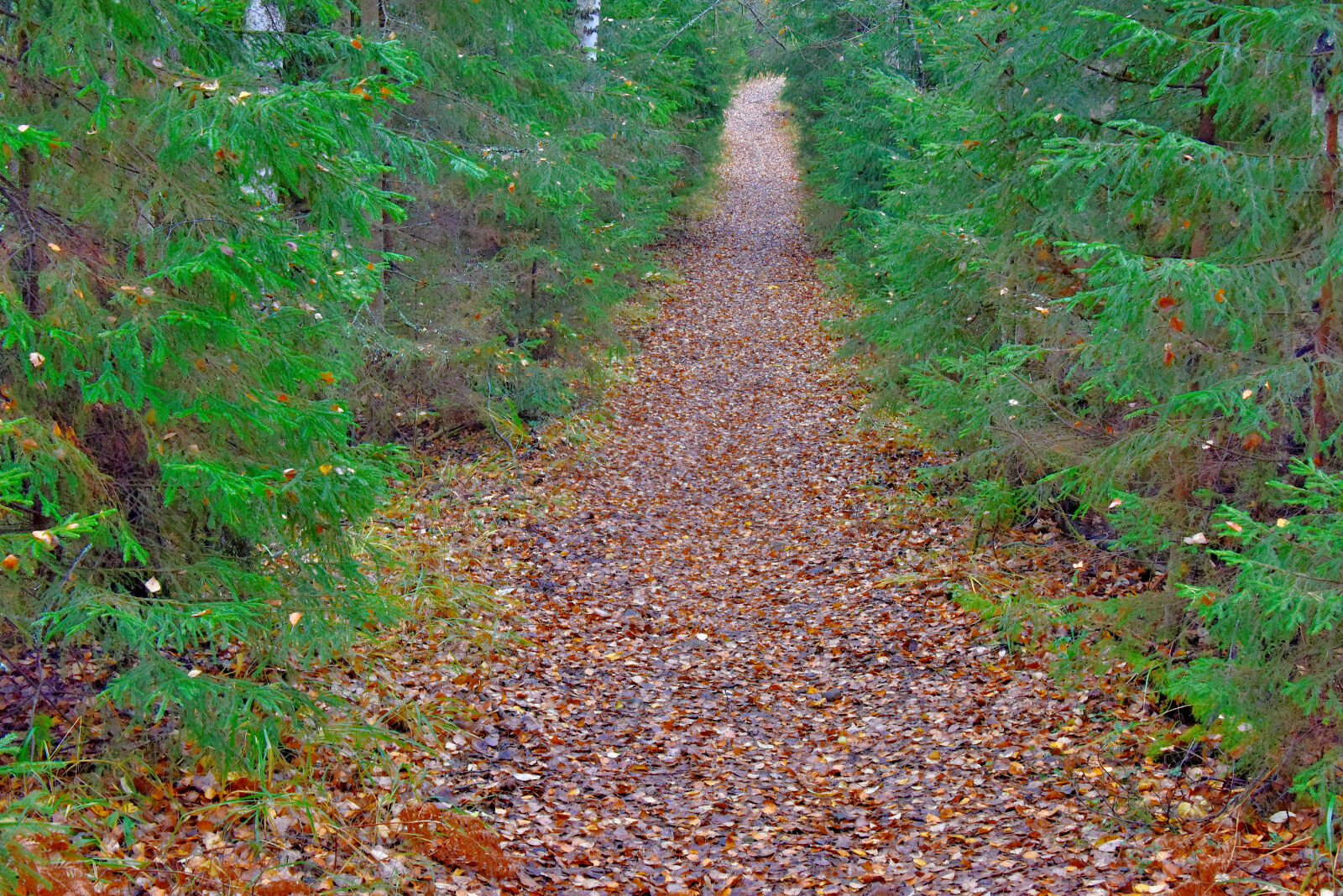 Valokuvaaja: Reijo Juurinen