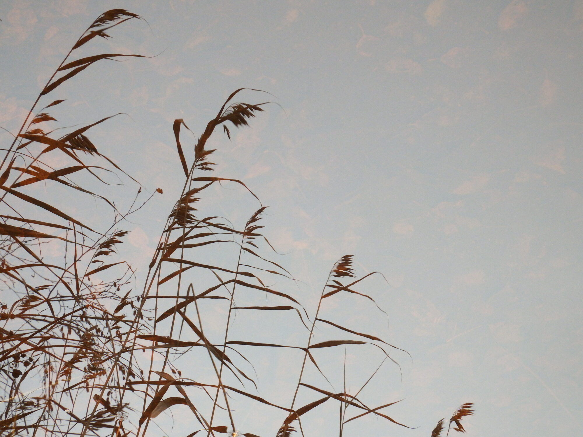 Valokuvaaja: Toni Asikainen