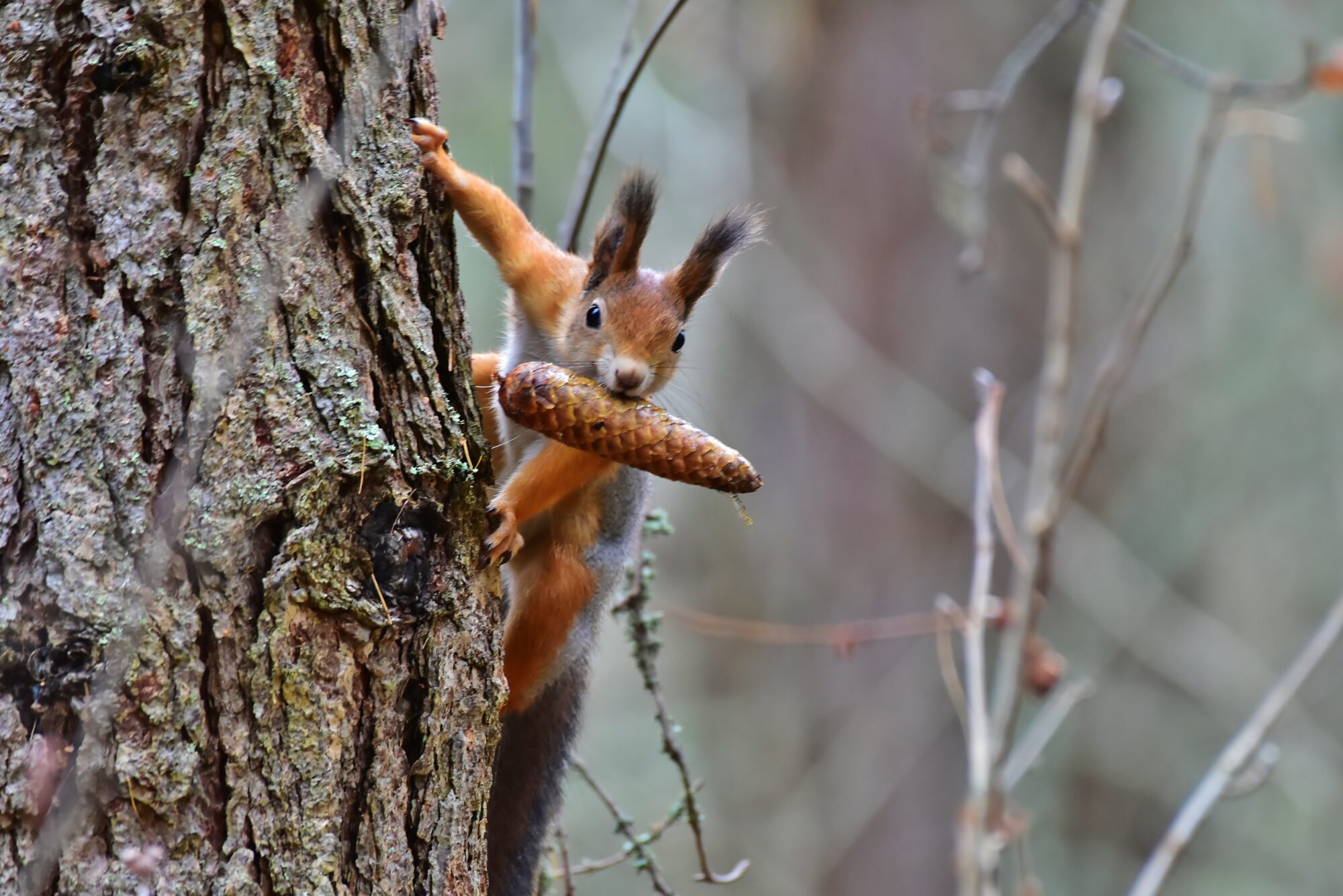 Valokuvaaja: Markku Pelkonen