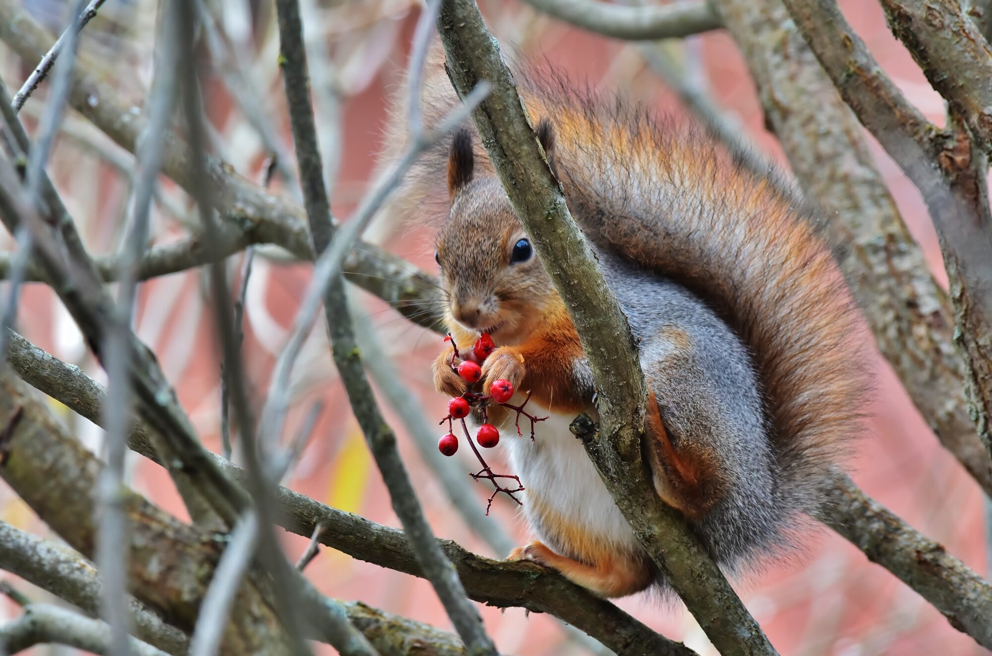 Valokuvaaja: Markku Pelkonen