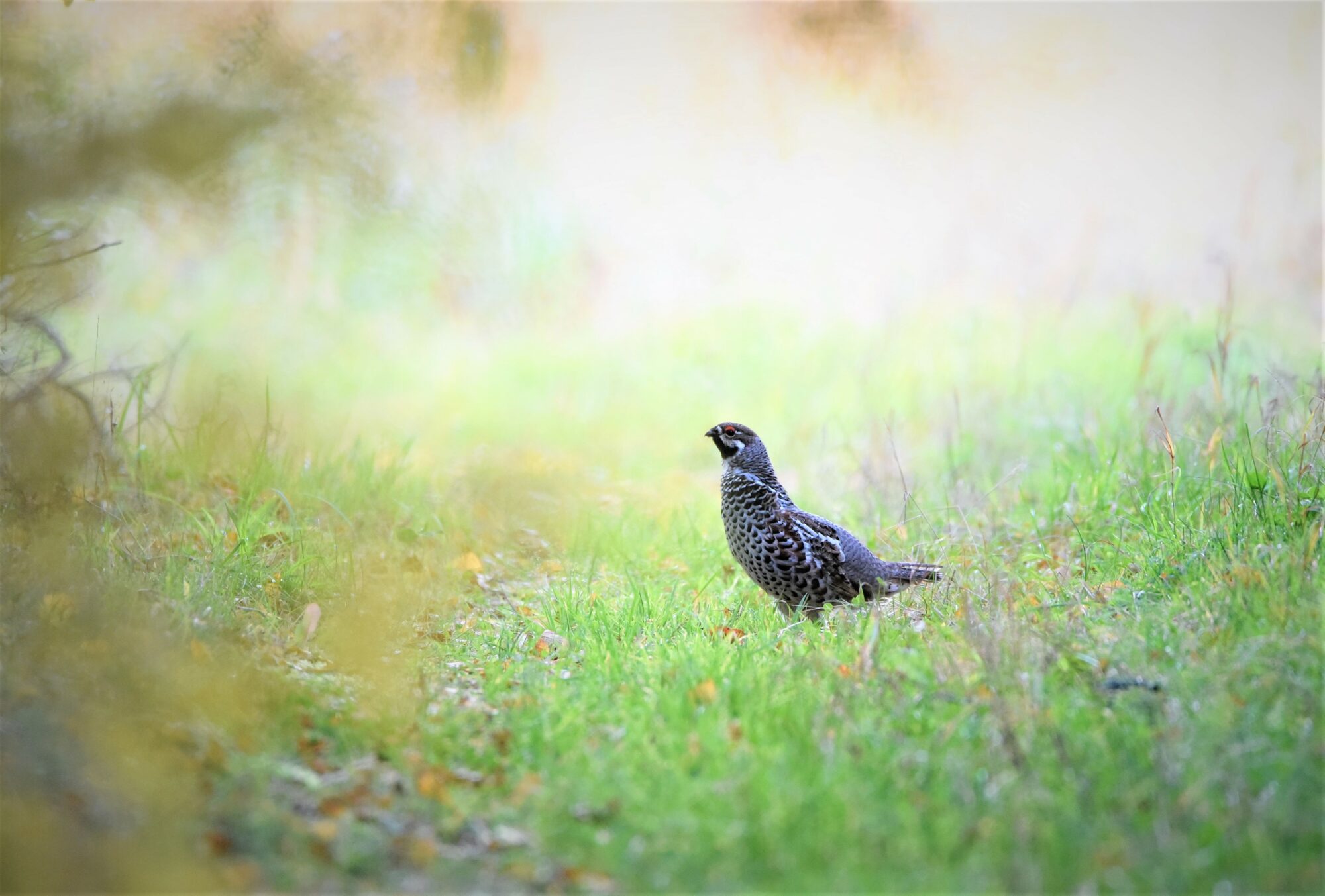 Valokuvaaja: Leena Latvala