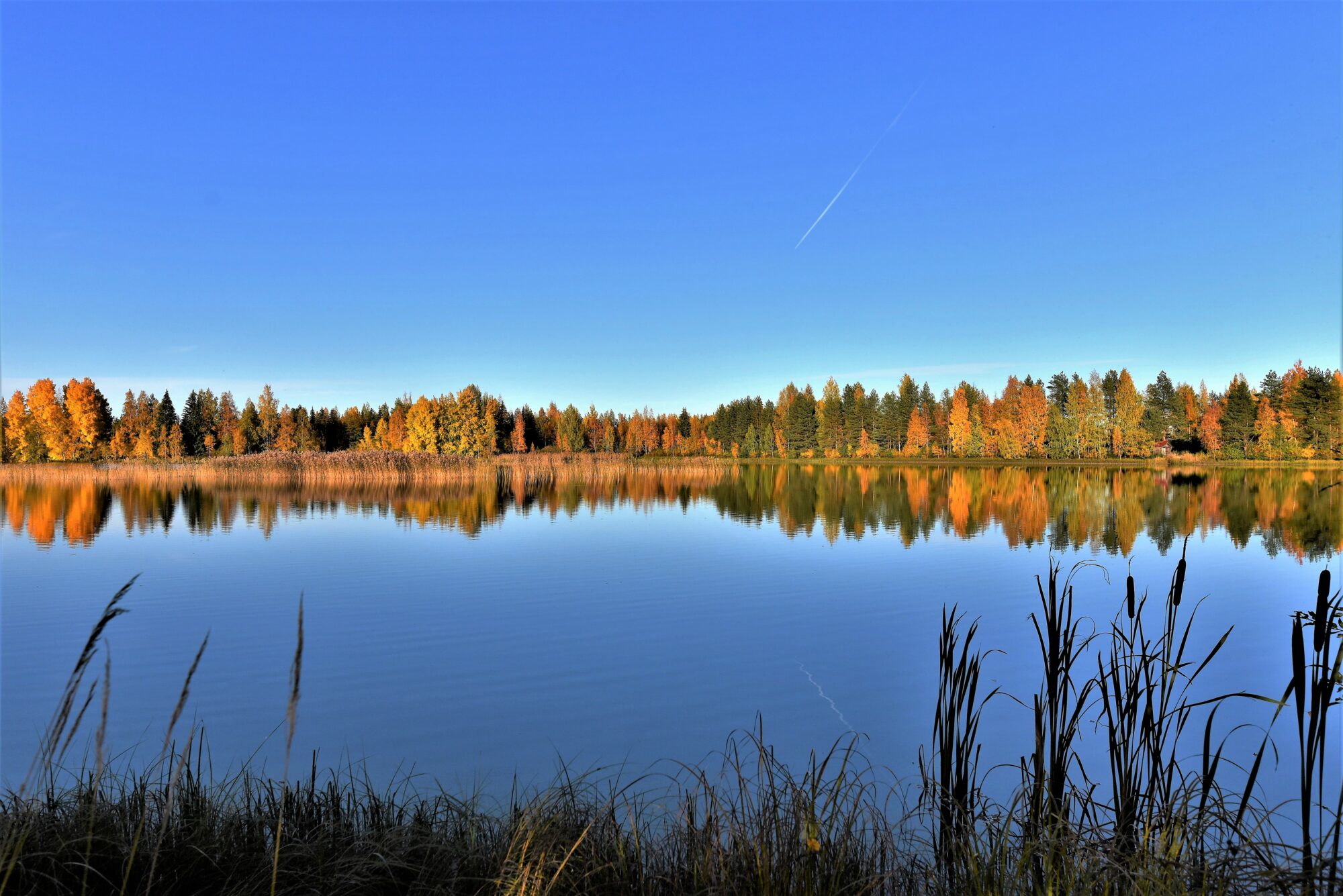 Valokuvaaja: Leena Latvala