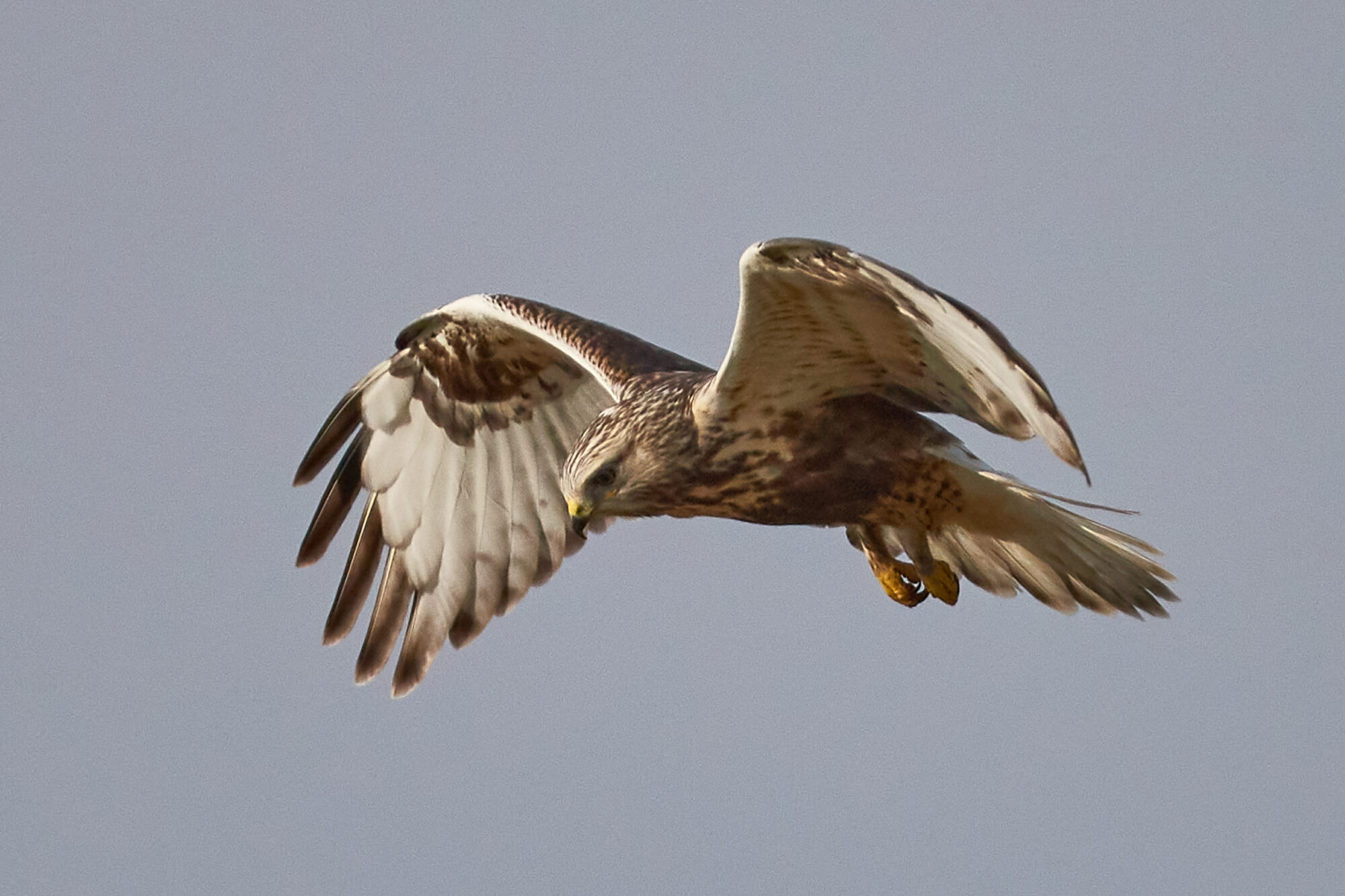 Valokuvaaja: Kari peräsalo