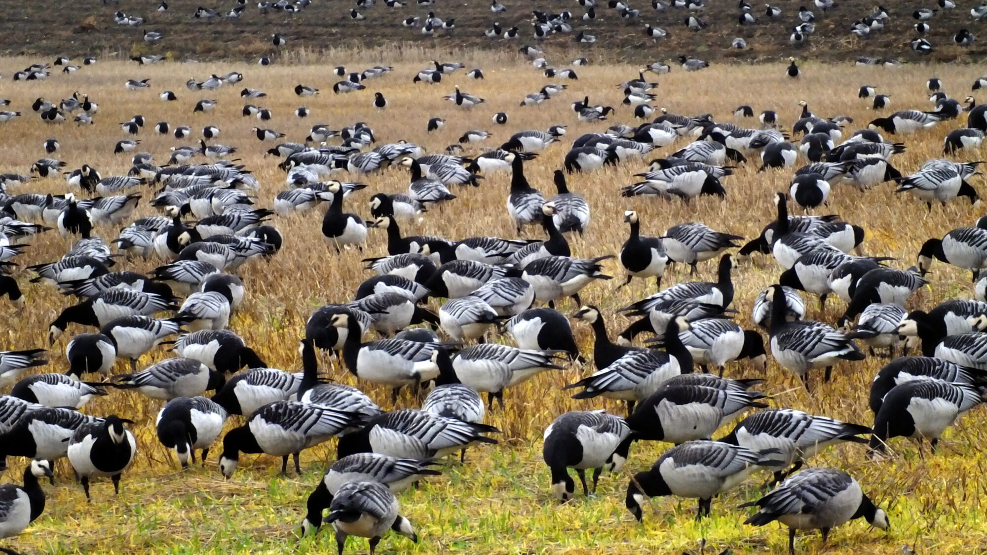 Valokuvaaja: Hannu Rasiranta