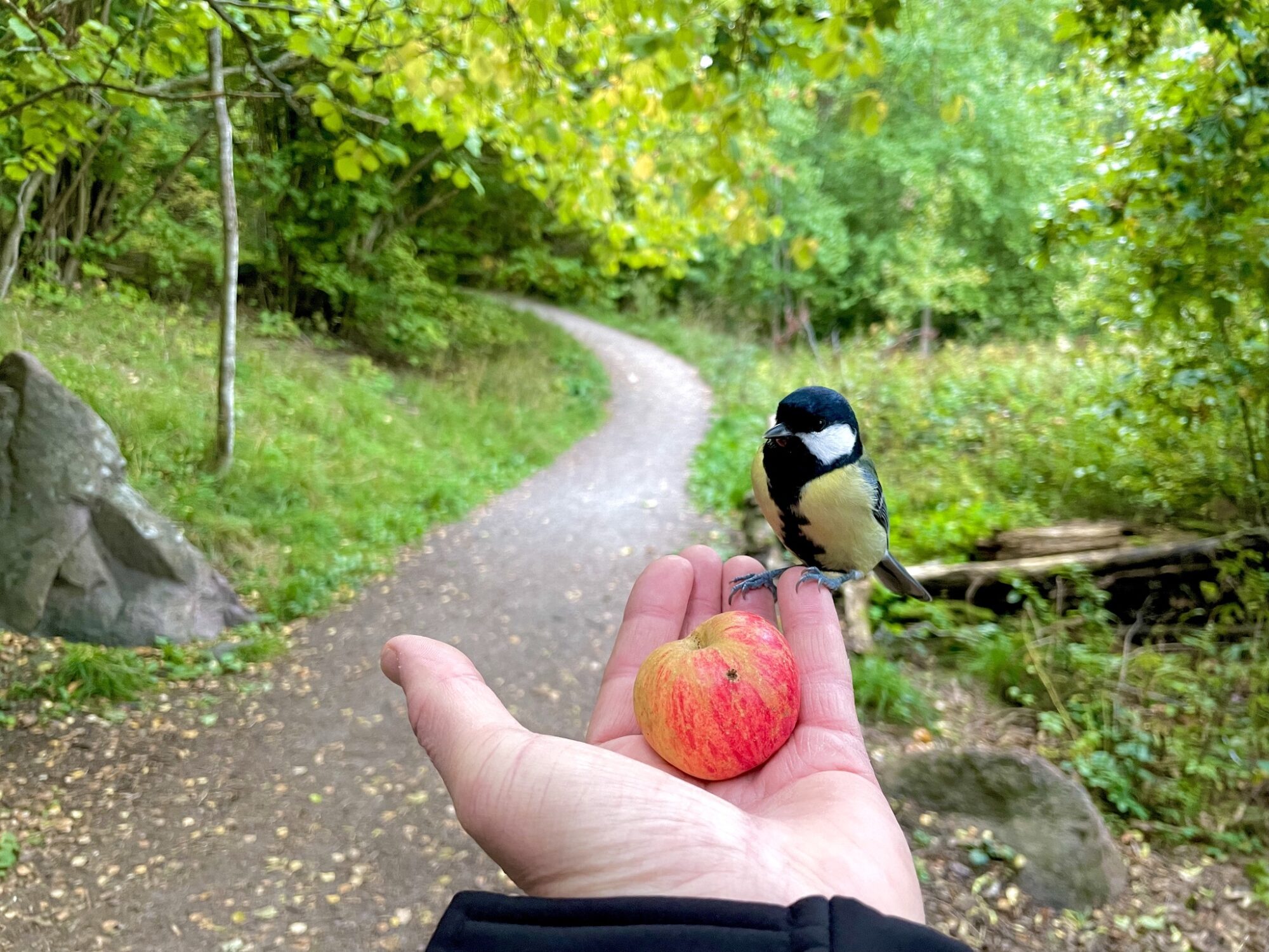 Valokuvaaja: Juhani Peltonen