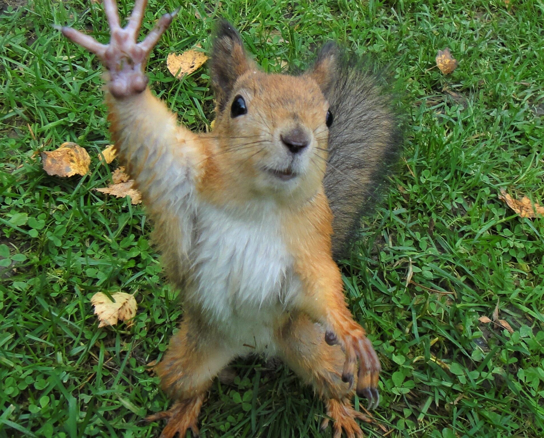 Valokuvaaja: rane nuutinen