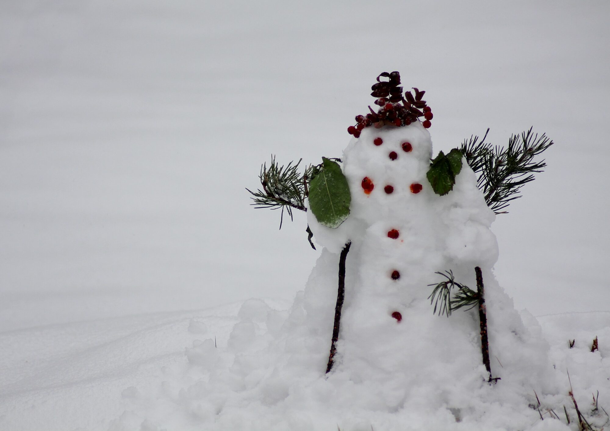 Valokuvaaja: Pirkko Siukonen