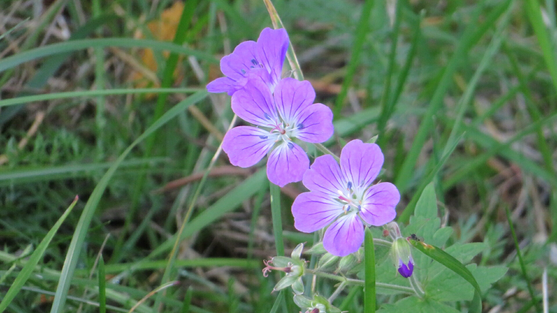 Valokuvaaja: Risto Kangassalo