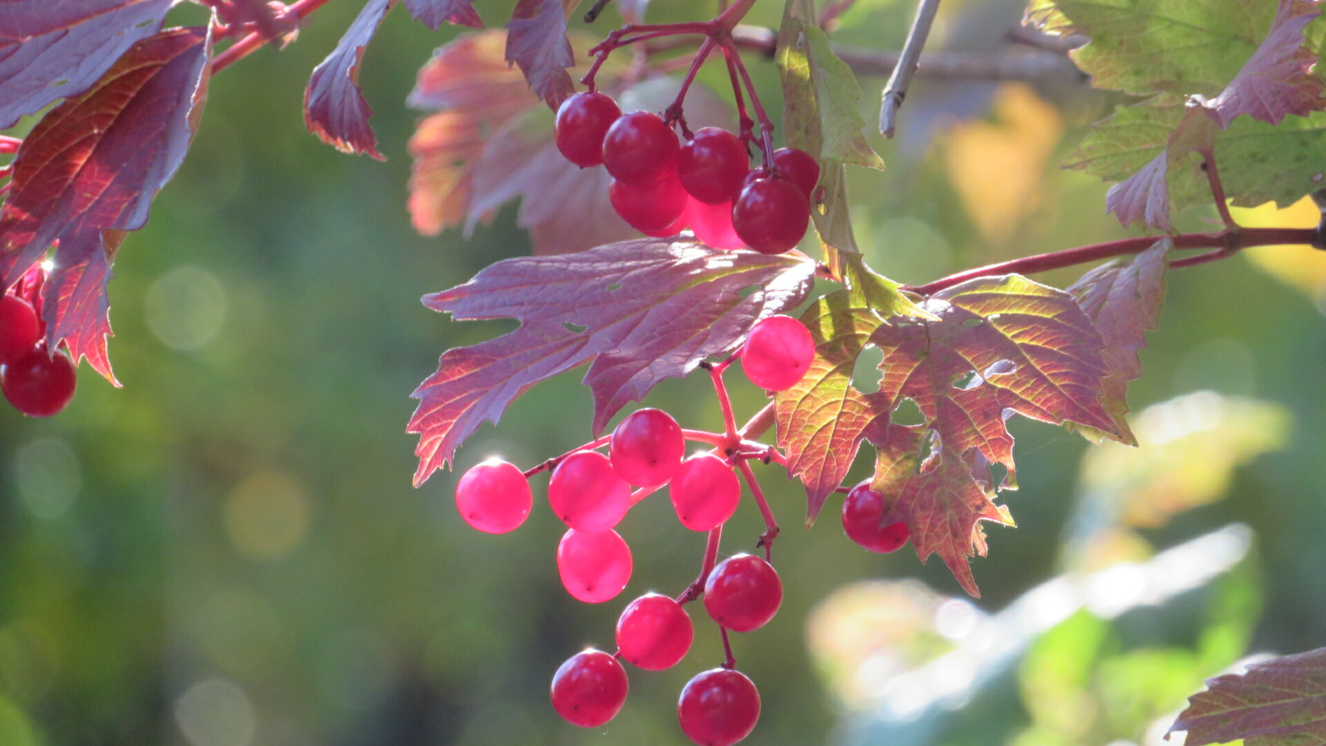 Valokuvaaja: Risto Kangassalo