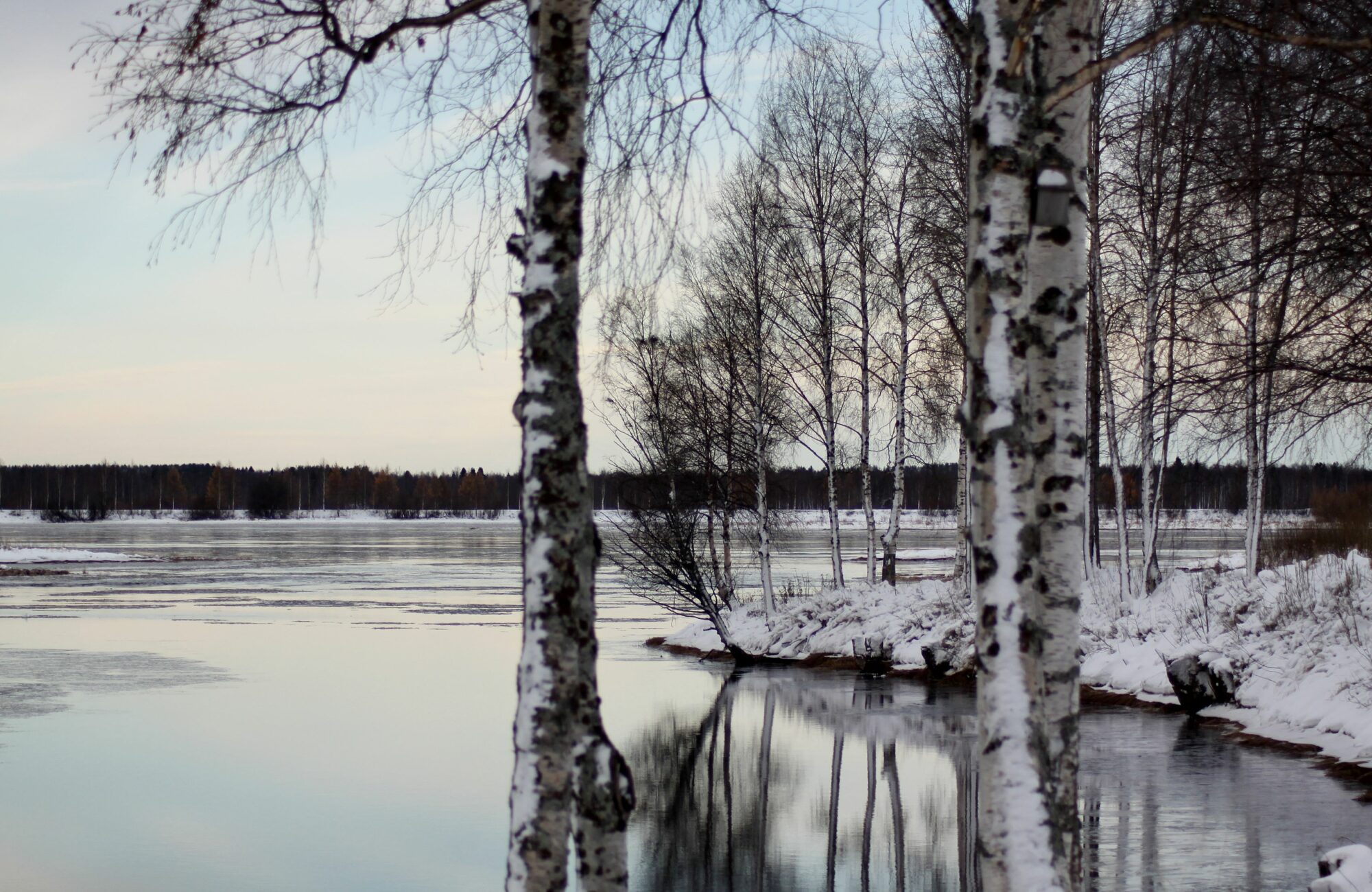 Valokuvaaja: Pirkko Siukonen