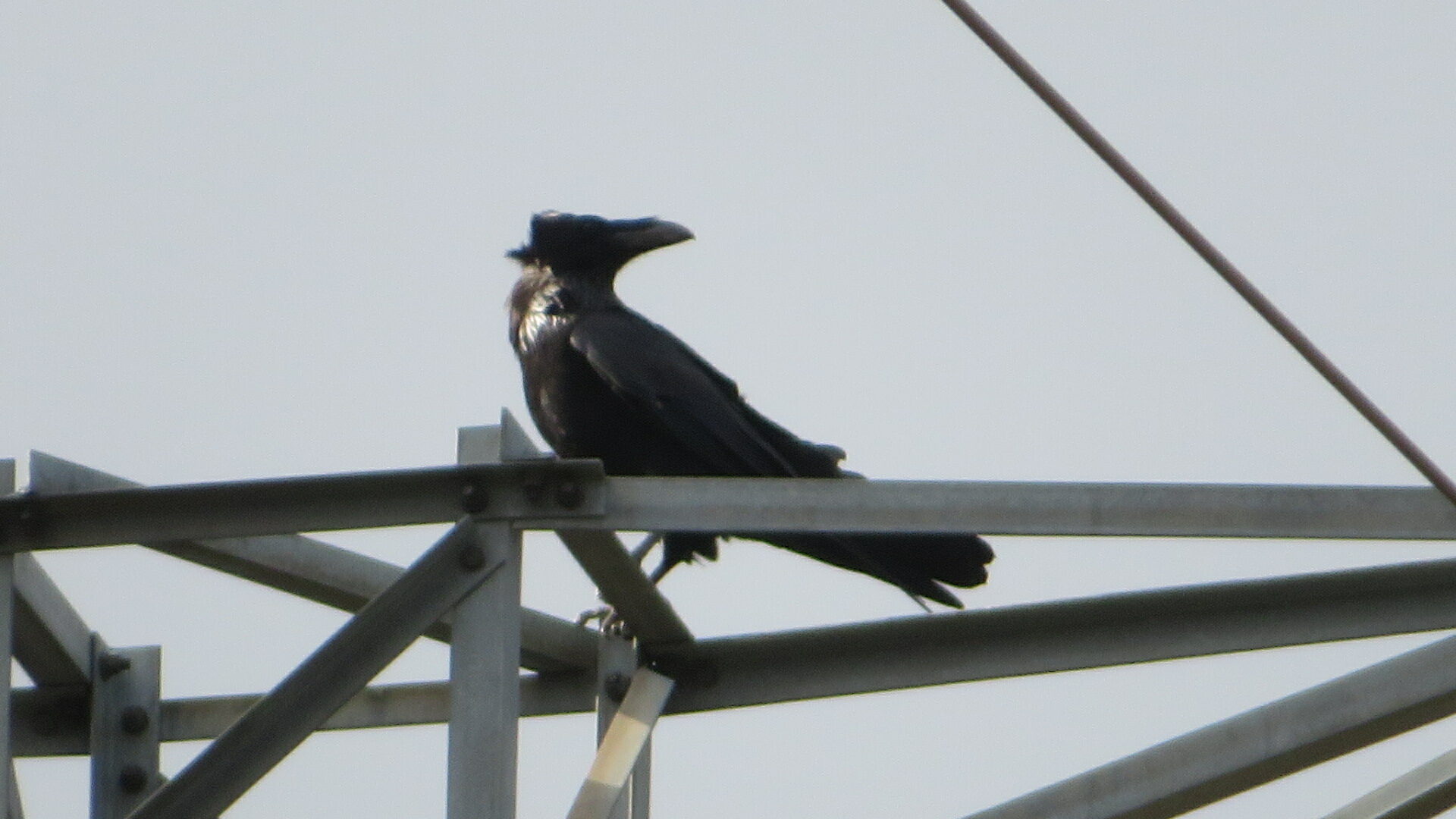 Valokuvaaja: Risto Kangassalo