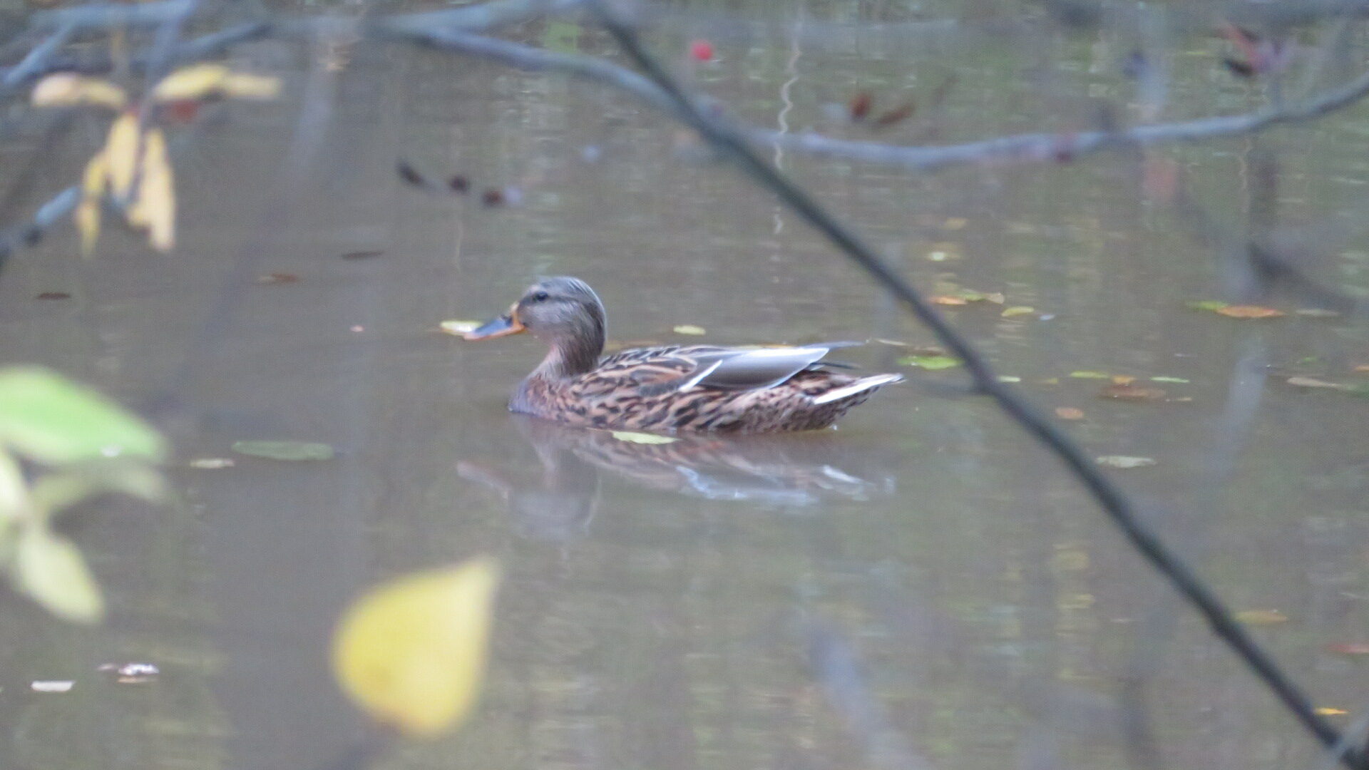 Valokuvaaja: Risto Kangassalo