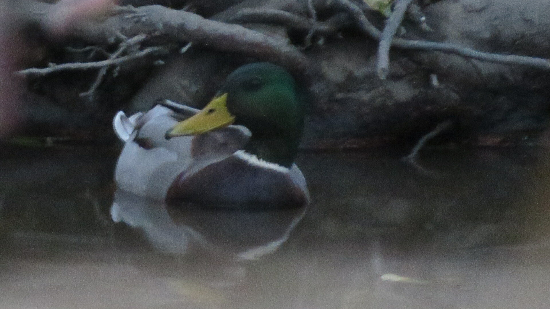 Valokuvaaja: Risto Kangassalo