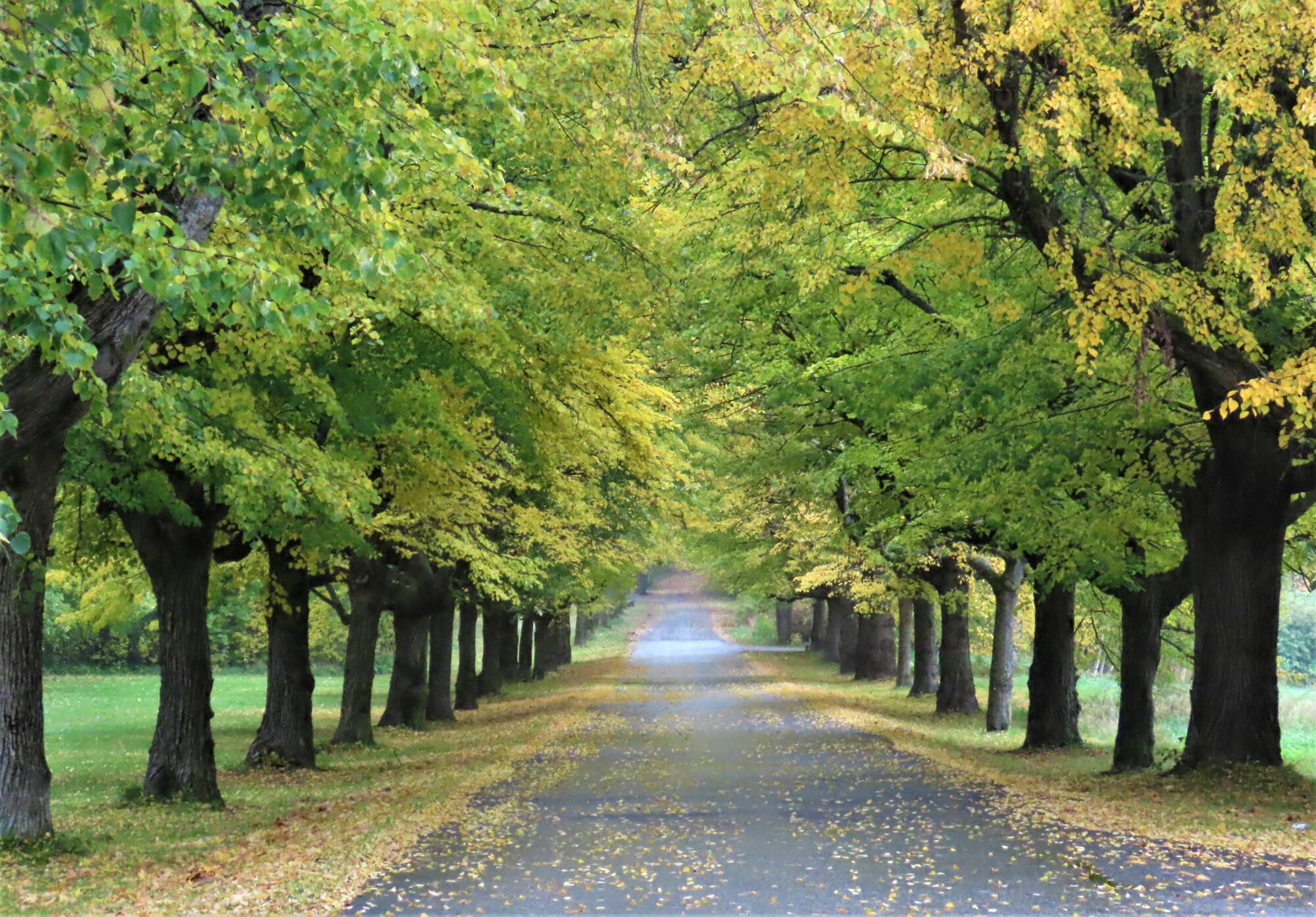 Valokuvaaja: Birgit Silvennoinen