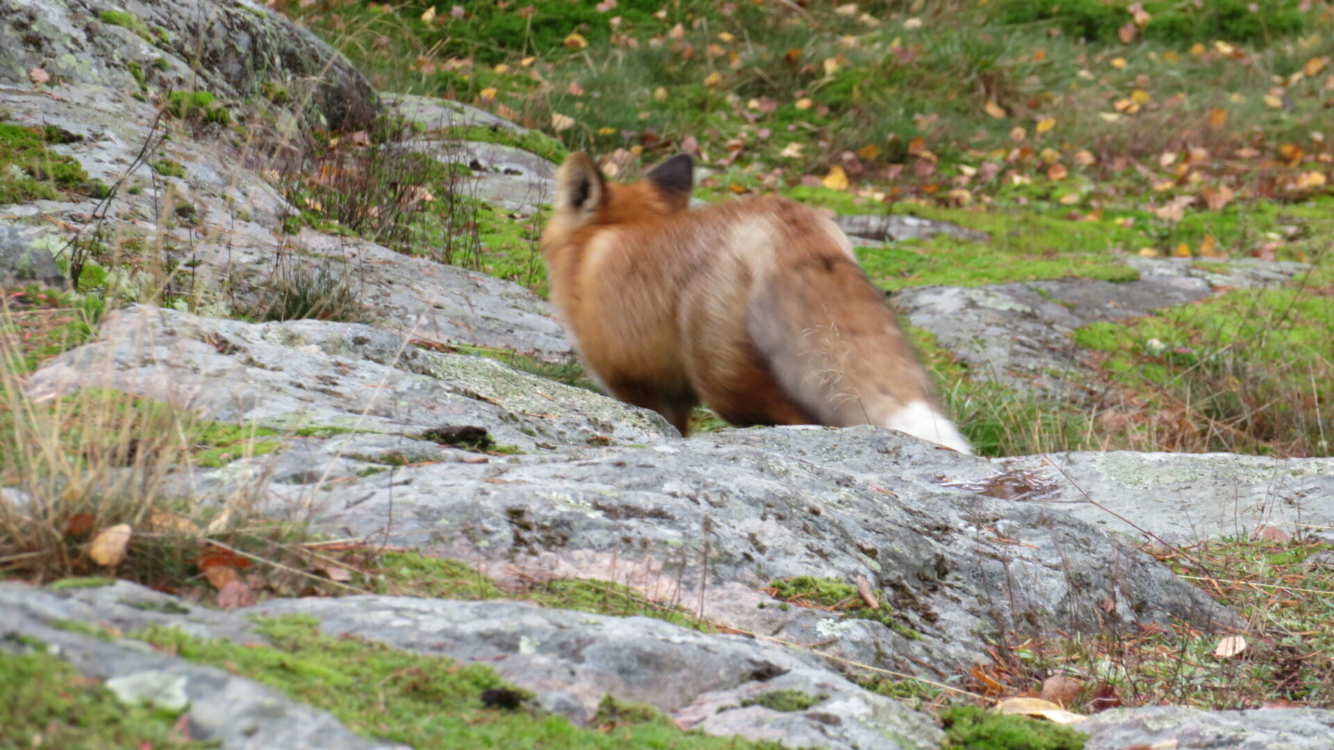 Valokuvaaja: Risto Kangassalo