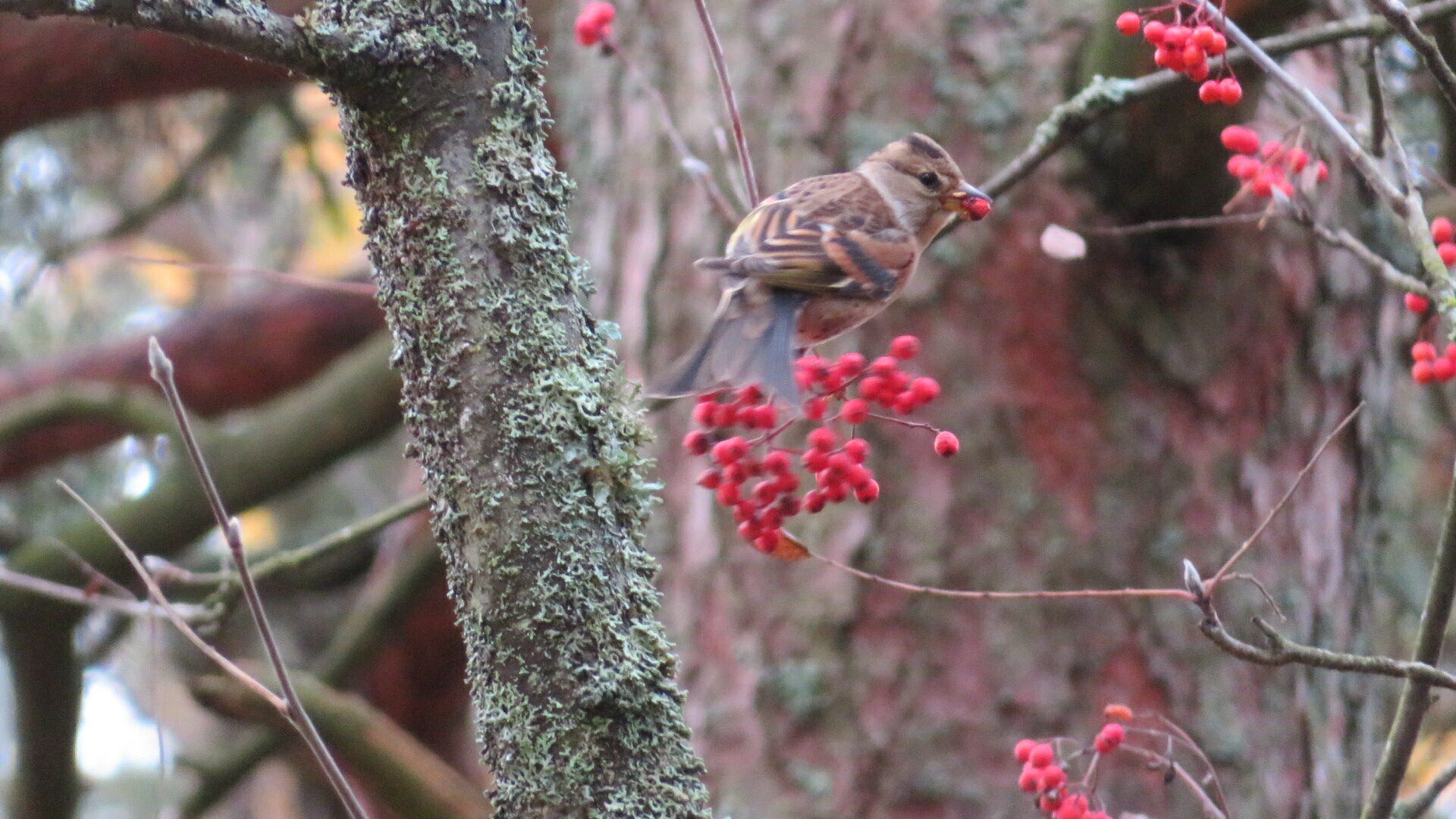 Valokuvaaja: Risto Kangassalo