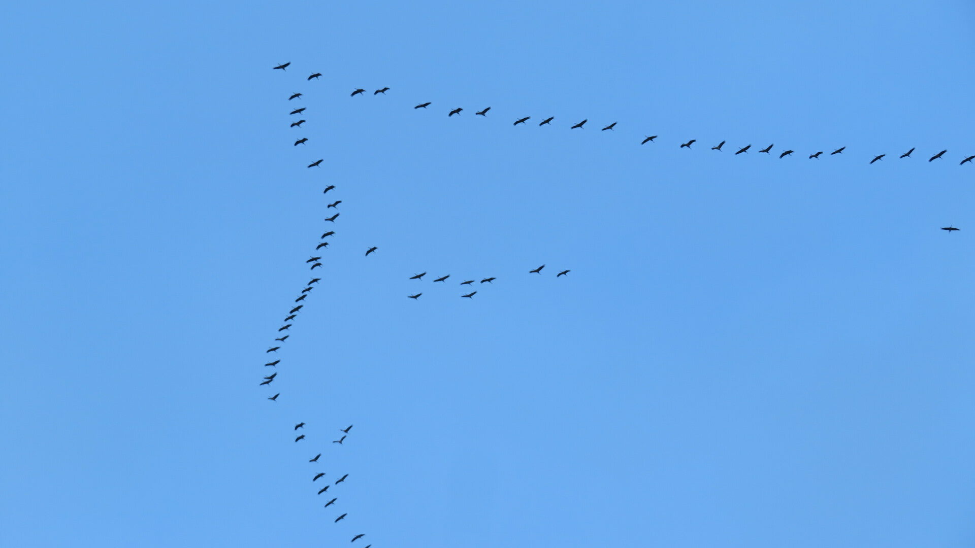 Valokuvaaja: Risto Kangassalo