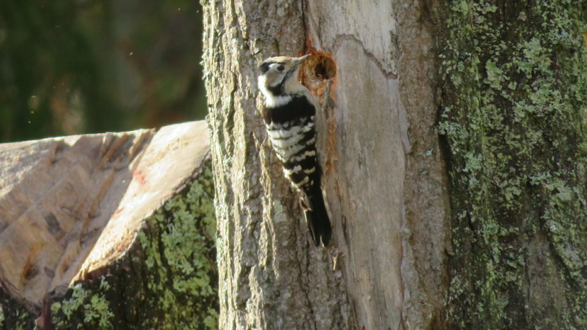 Valokuvaaja: Risto Kangassalo