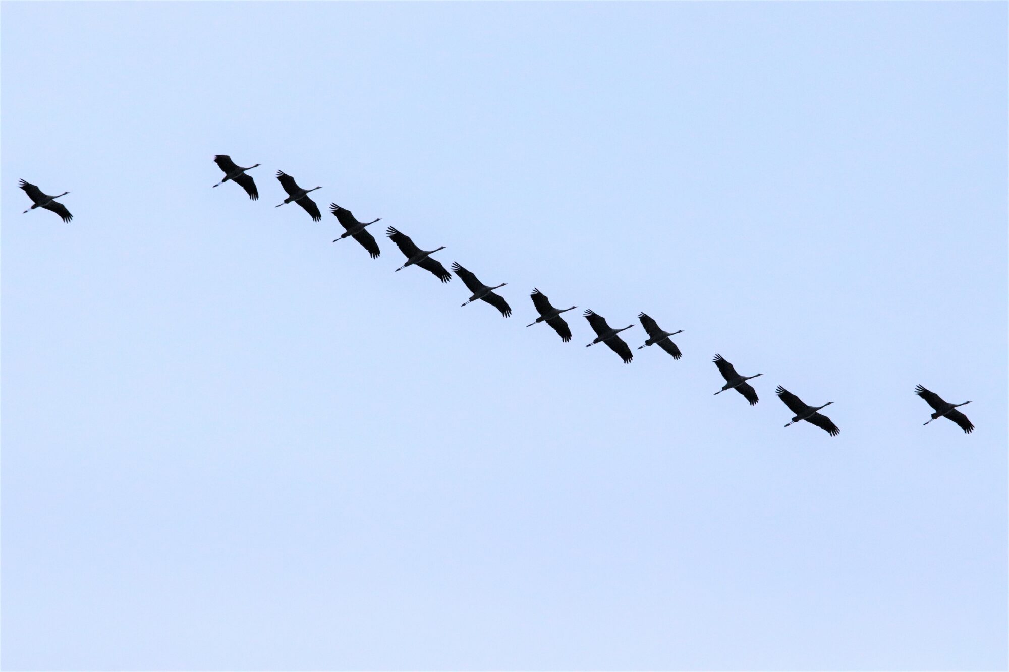 Valokuvaaja: Irja Lehtinen Valokuvaaja: Irja Lehtinen