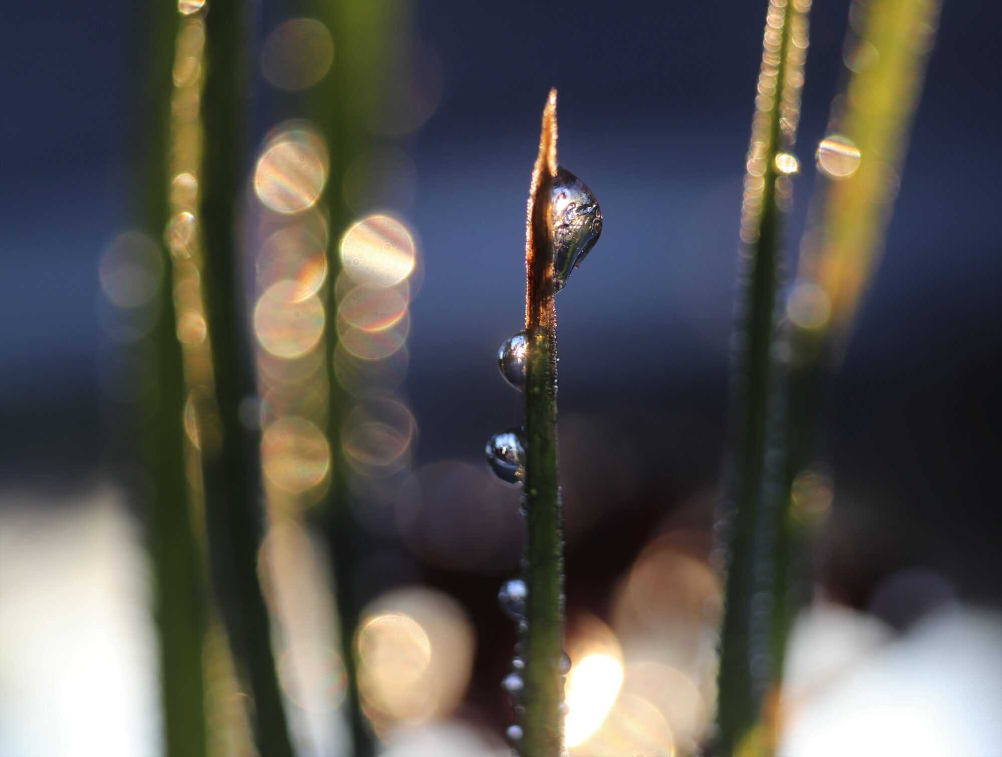 Valokuvaaja: Irja Lehtinen