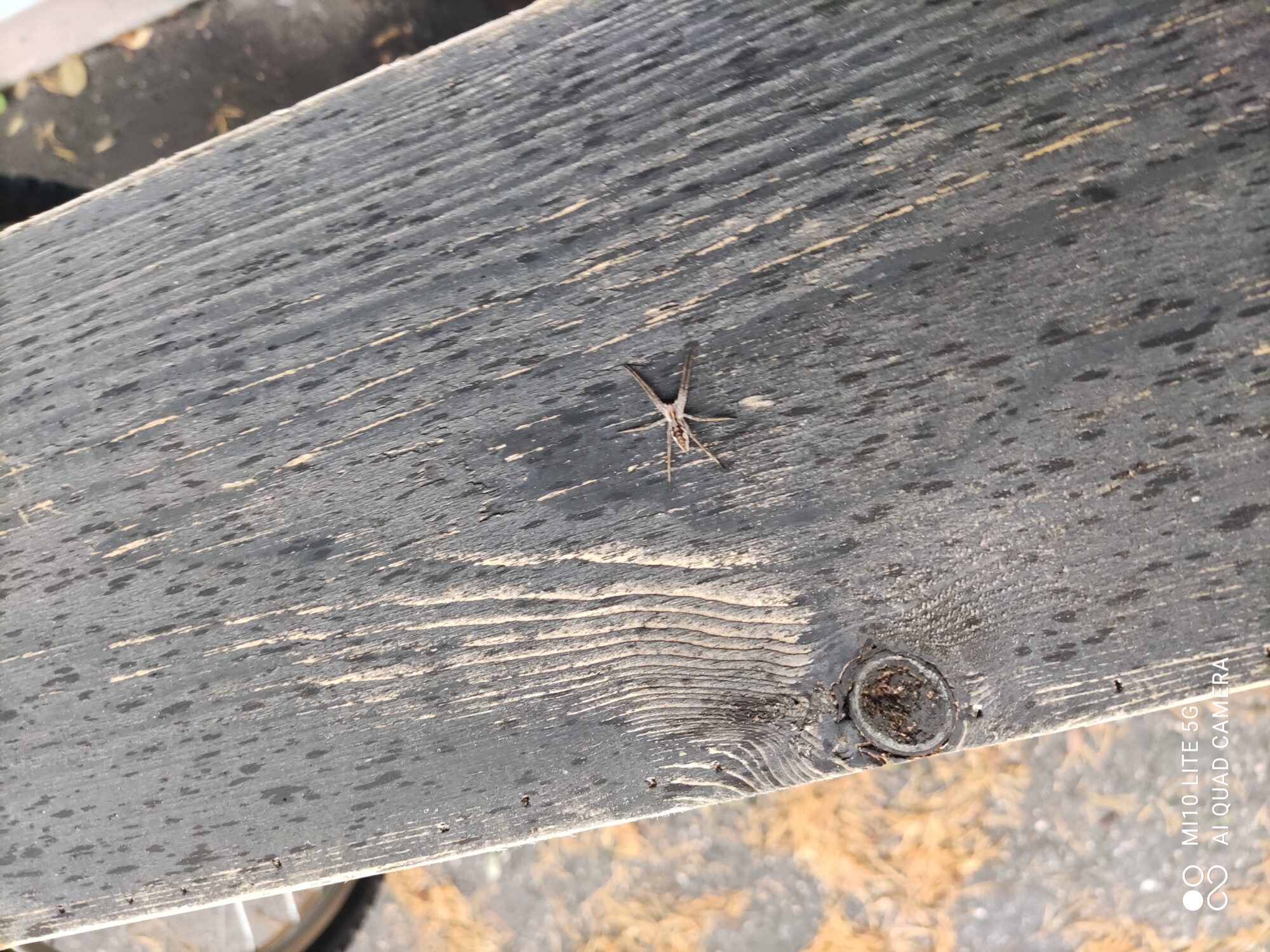 Valokuvaaja: Mari Äikää