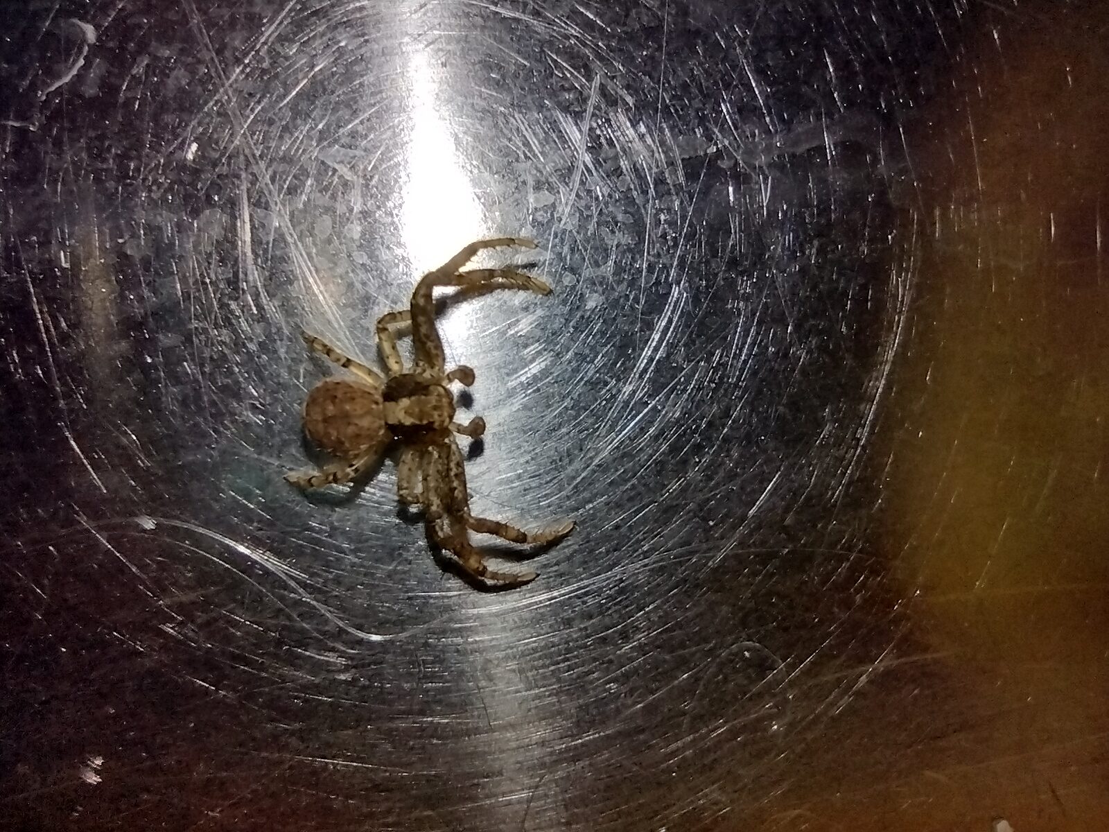 Valokuvaaja: tuija leiponen