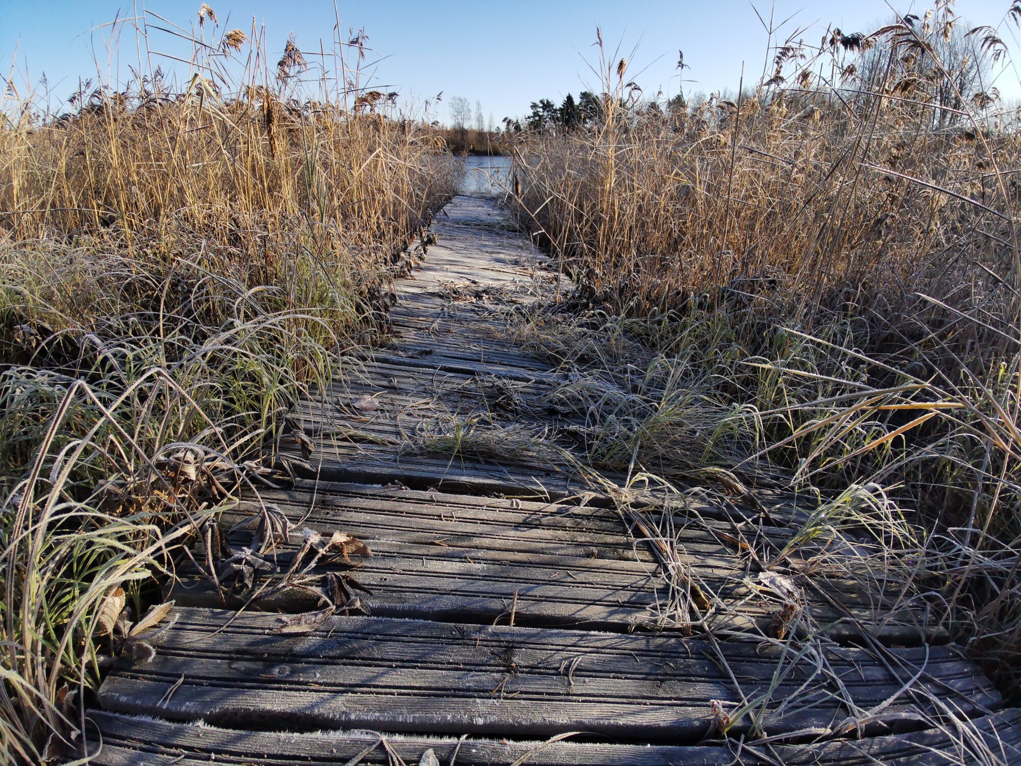 Valokuvaaja: Tapio Keinonen