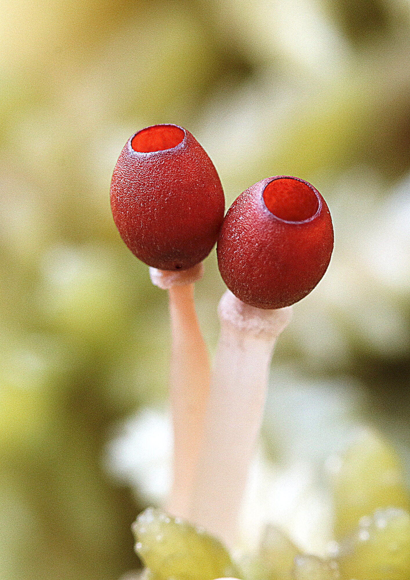 Valokuvaaja: Hannu Rasiranta