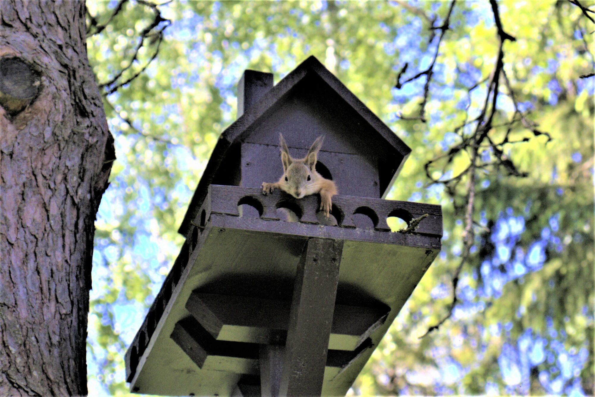 Valokuvaaja: rane nuutinen