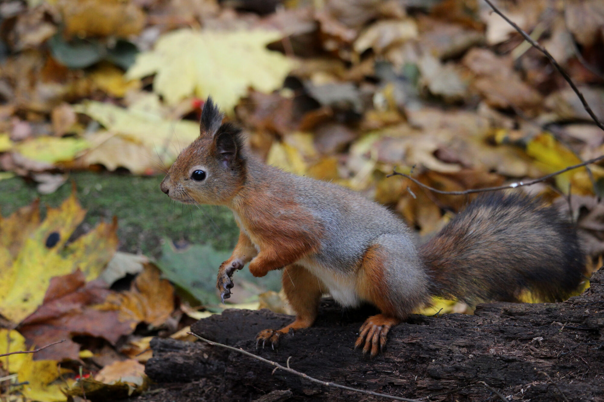 Valokuvaaja: Kirsi-Marja Joenpolvi