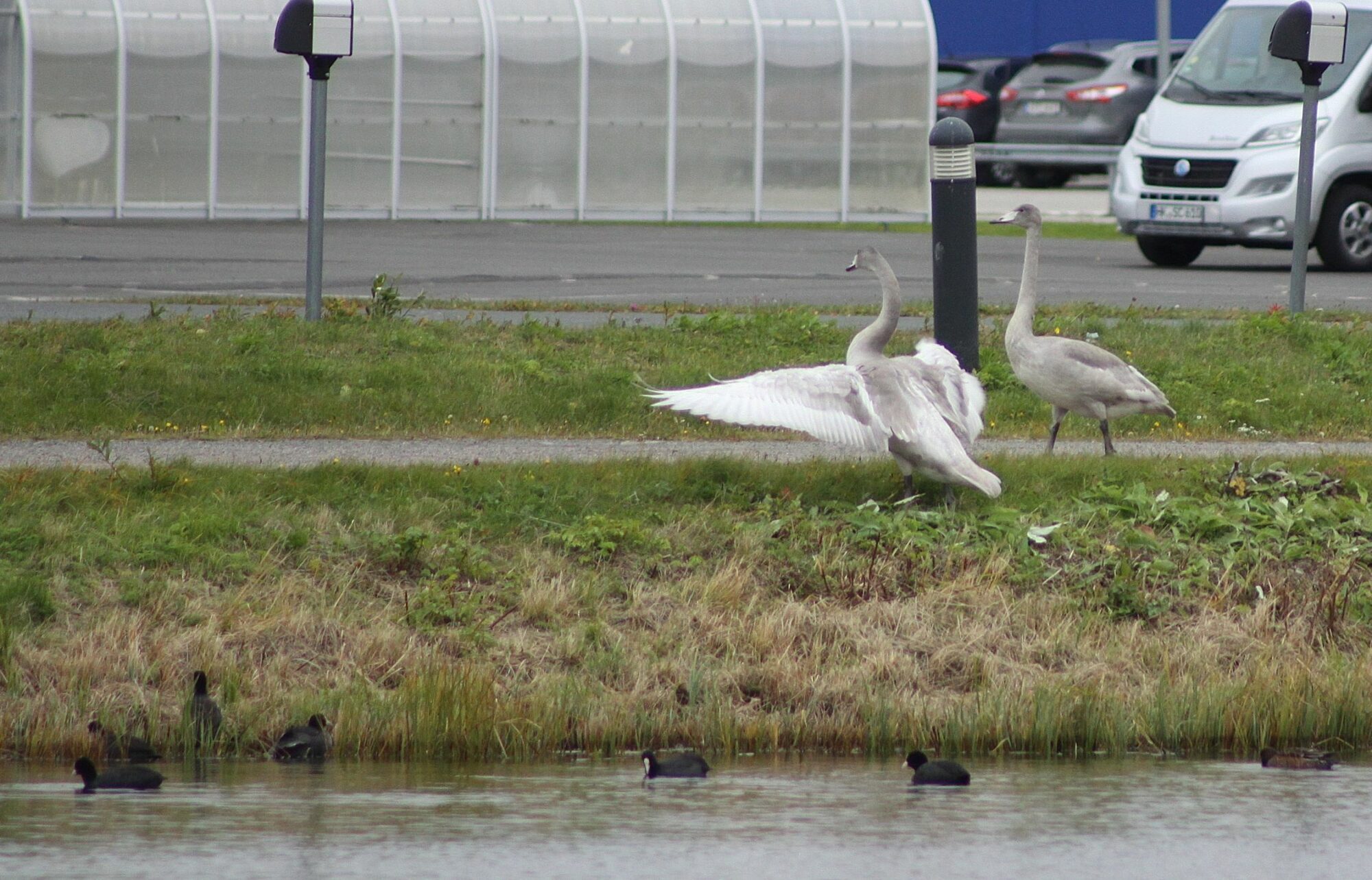 Valokuvaaja: Pirkko Siukonen