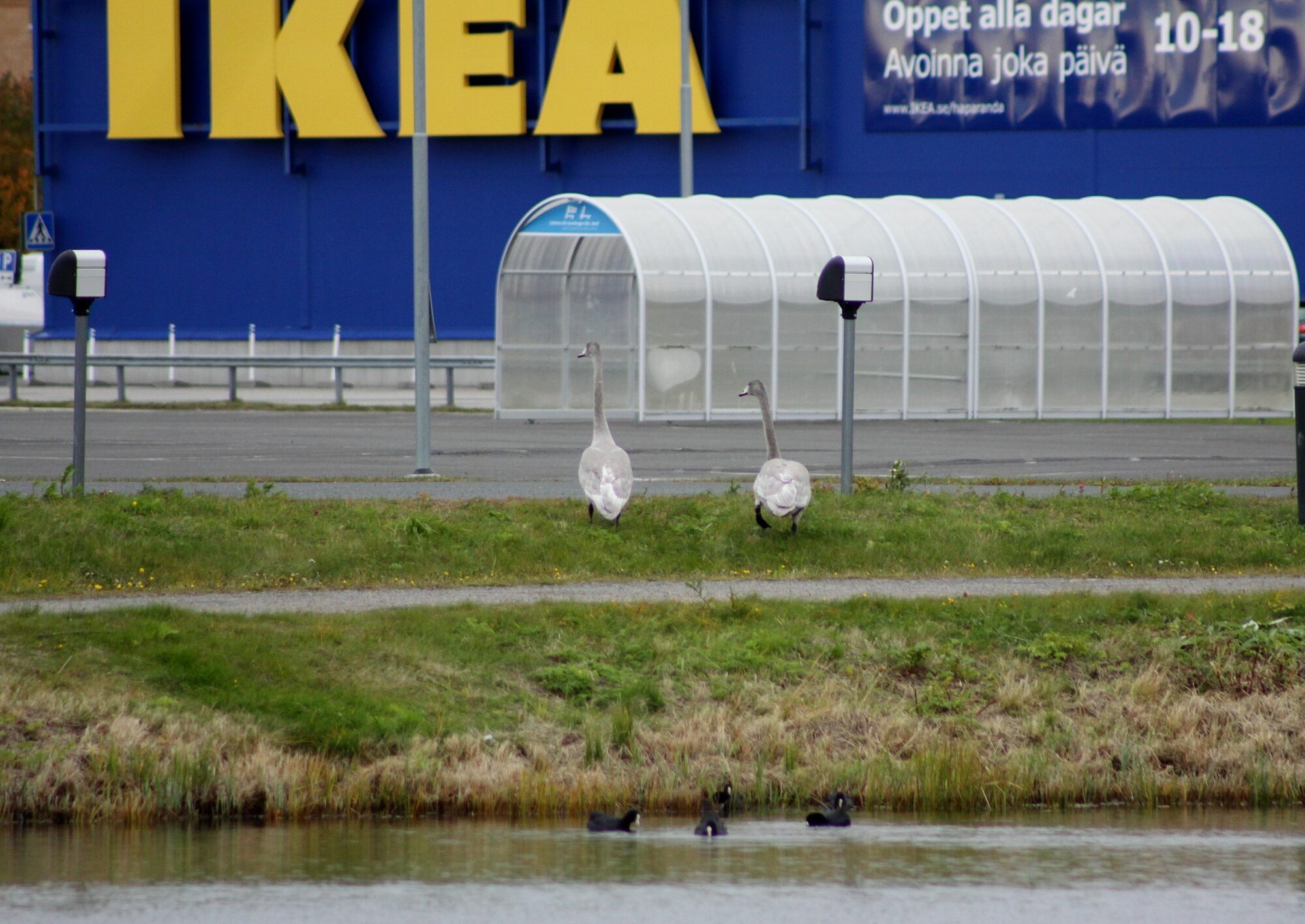Valokuvaaja: Pirkko Siukonen