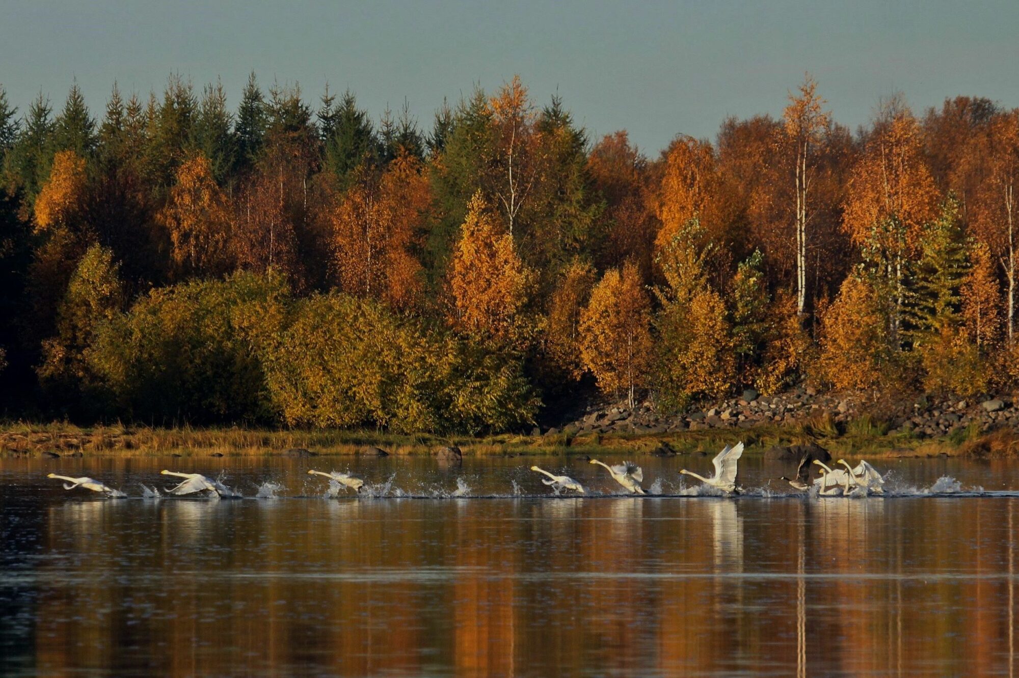 Valokuvaaja: Pirkko Siukonen