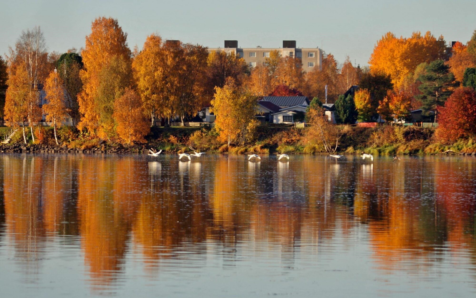 Valokuvaaja: Pirkko Siukonen