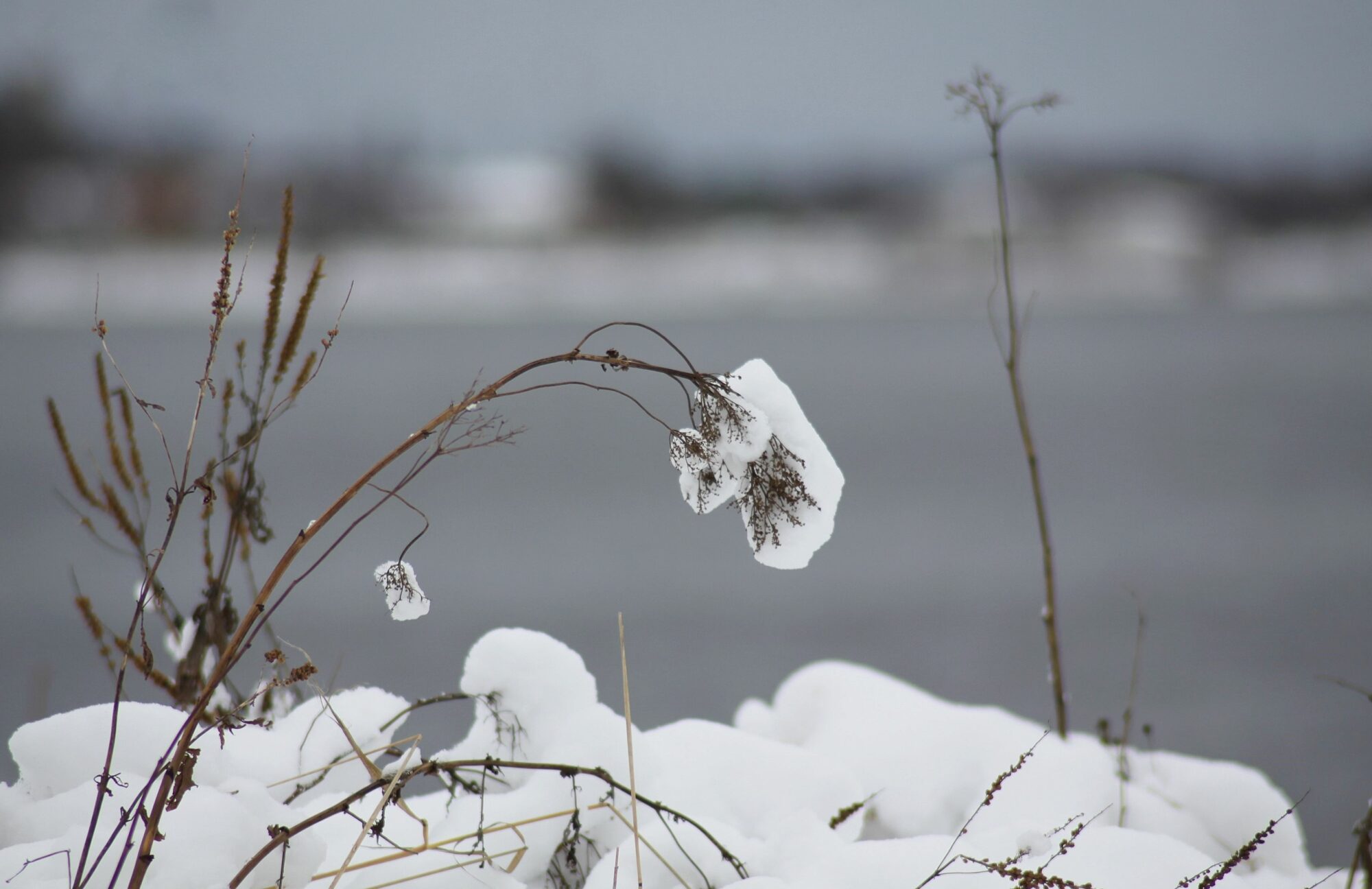 Valokuvaaja: Pirkko Siukonen