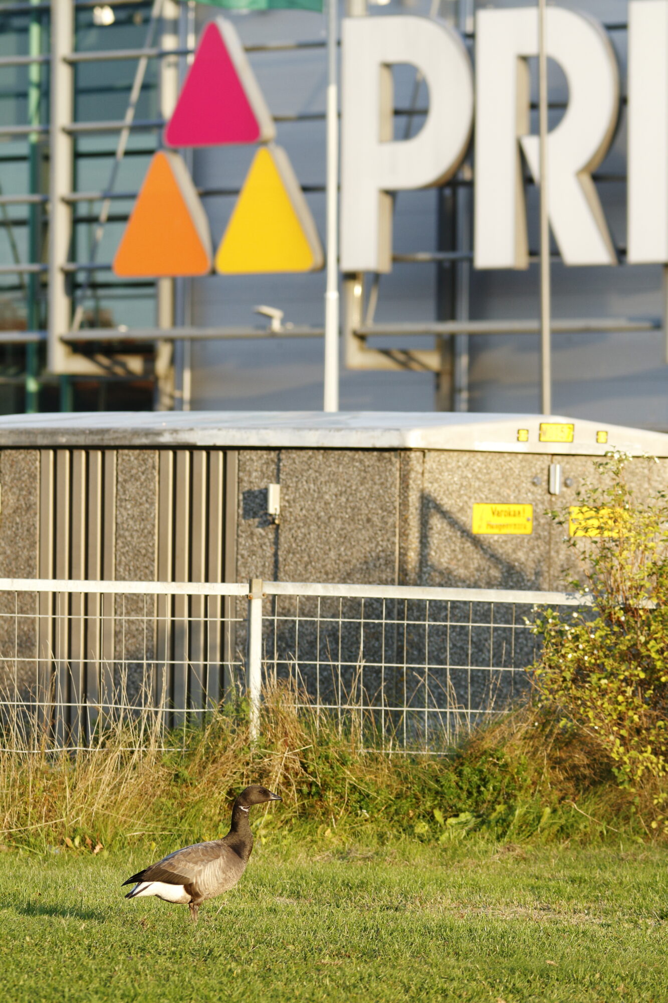 Valokuvaaja: Lasse Kokko