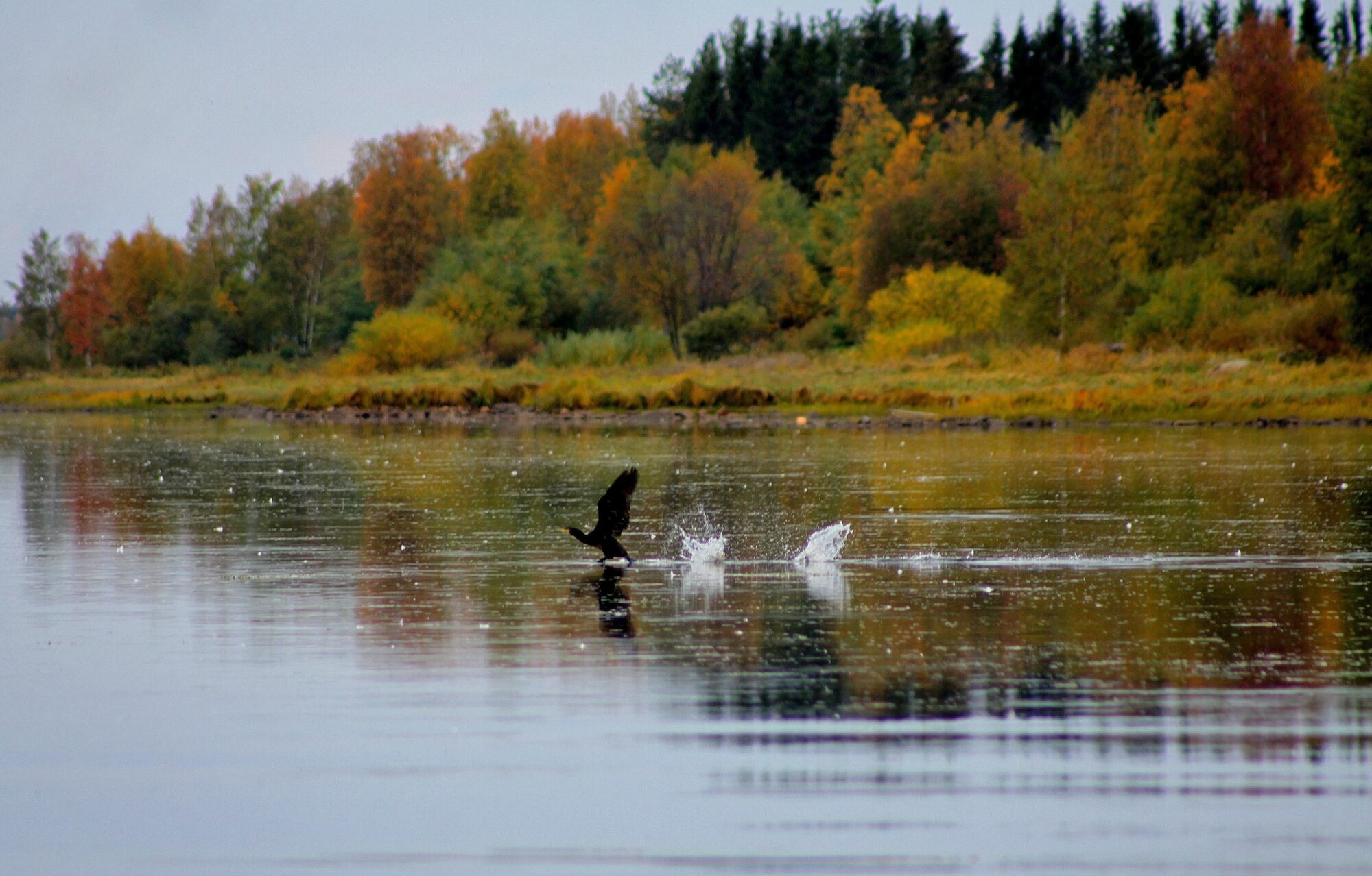 Valokuvaaja: Pirkko Siukonen