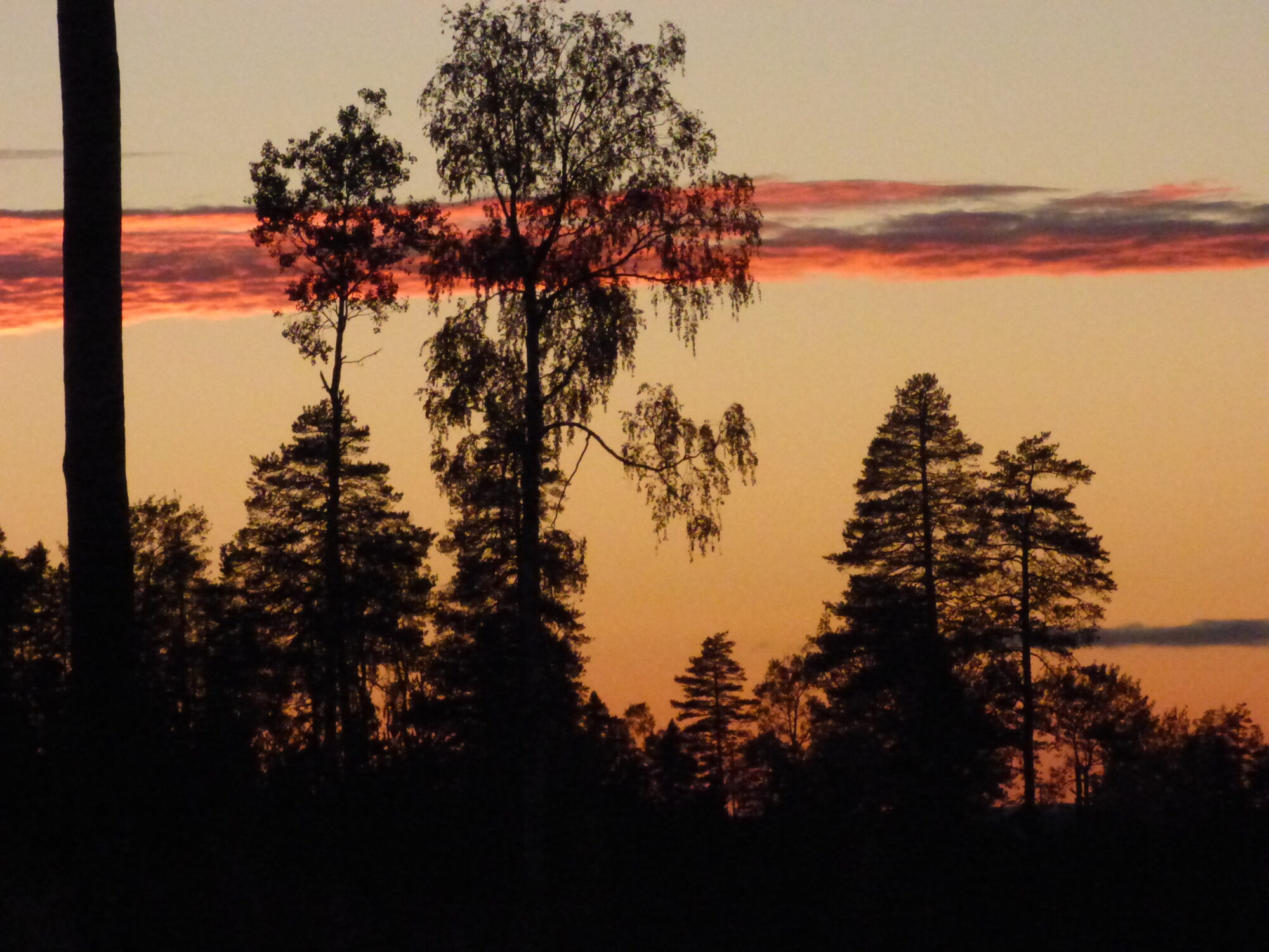 Valokuvaaja: Hannu Rissanen
