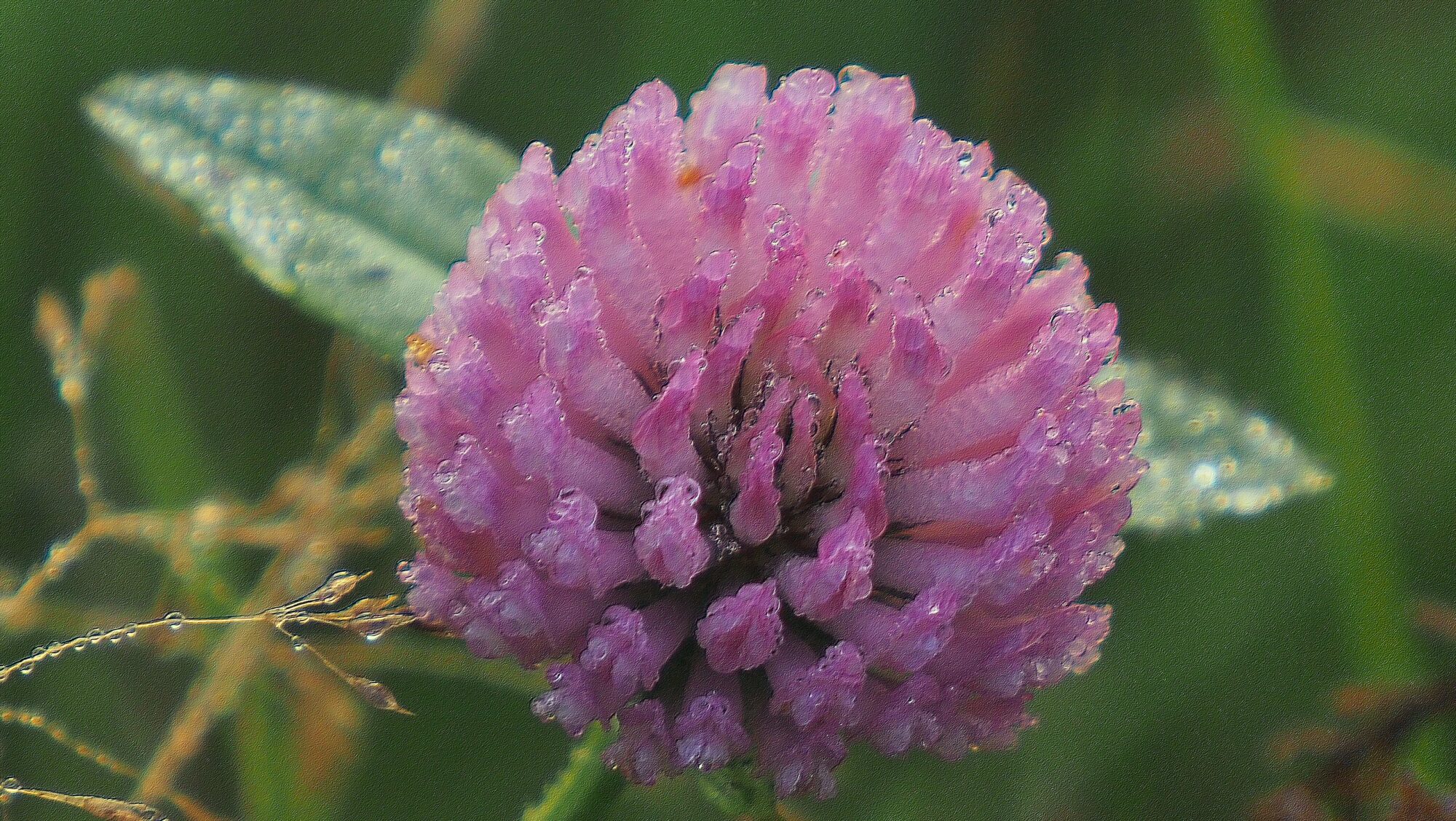 Valokuvaaja: Arja Valtonen