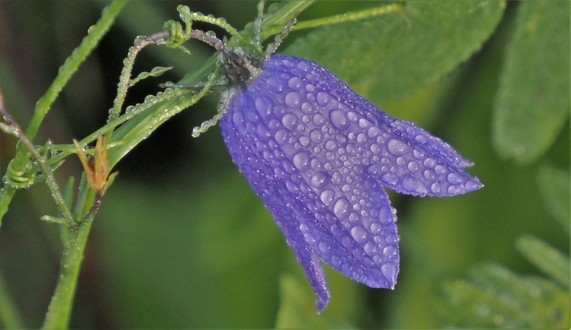 Valokuvaaja: Arja Valtonen Valokuvaaja: Arja Valtonen