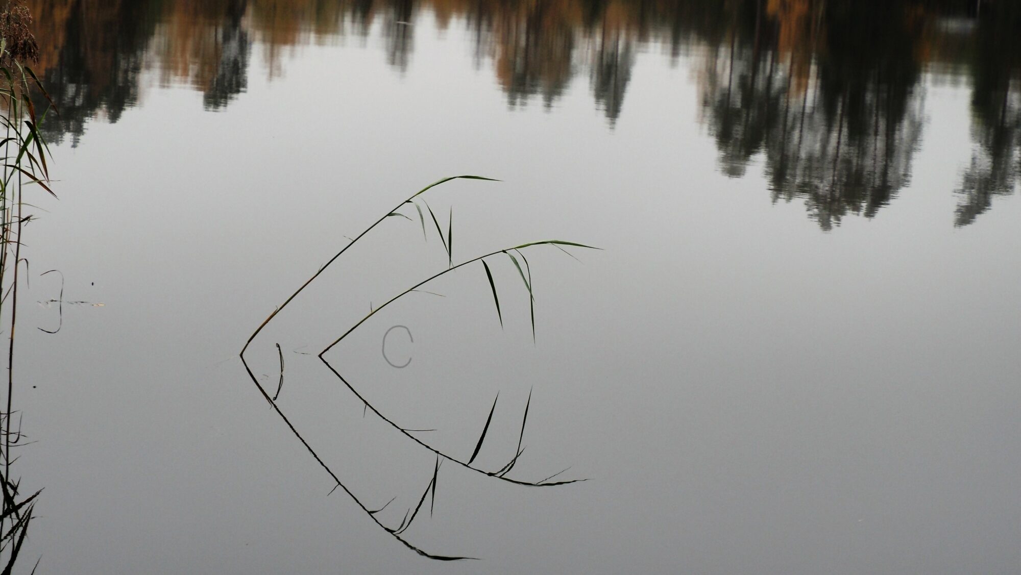 Valokuvaaja: Arja Valtonen