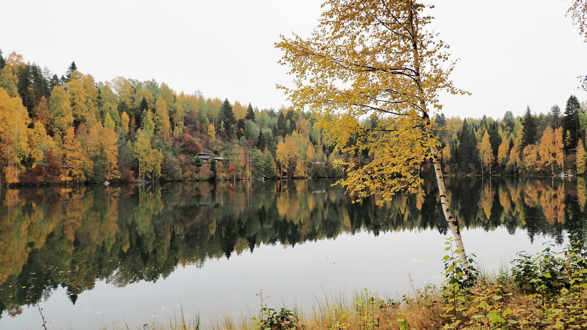 Valokuvaaja: Arja Valtonen Valokuvaaja: Arja Valtonen