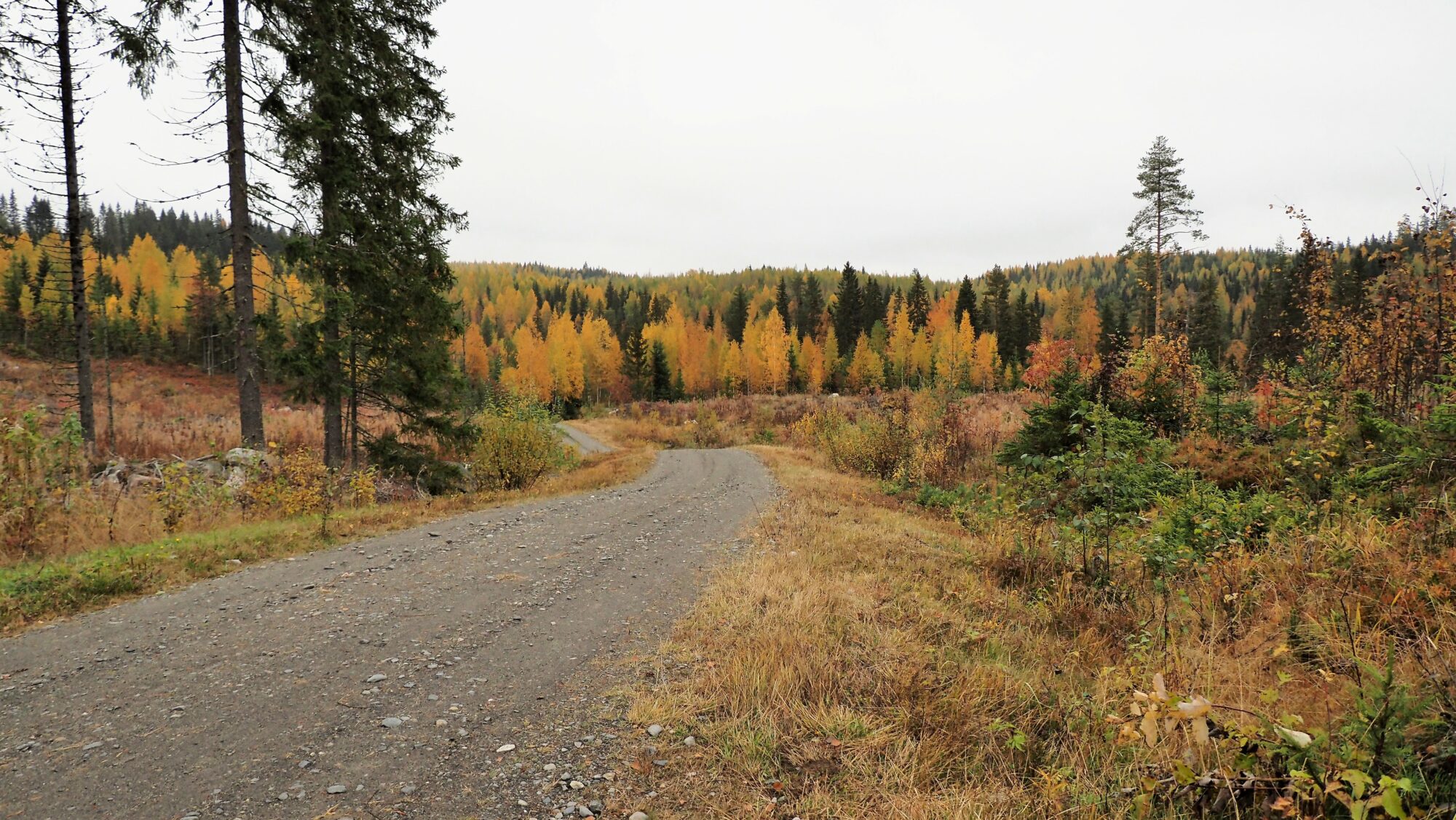 Valokuvaaja: Arja Valtonen