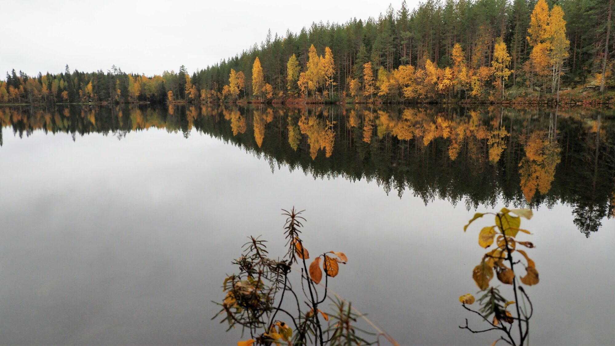 Valokuvaaja: Arja Valtonen